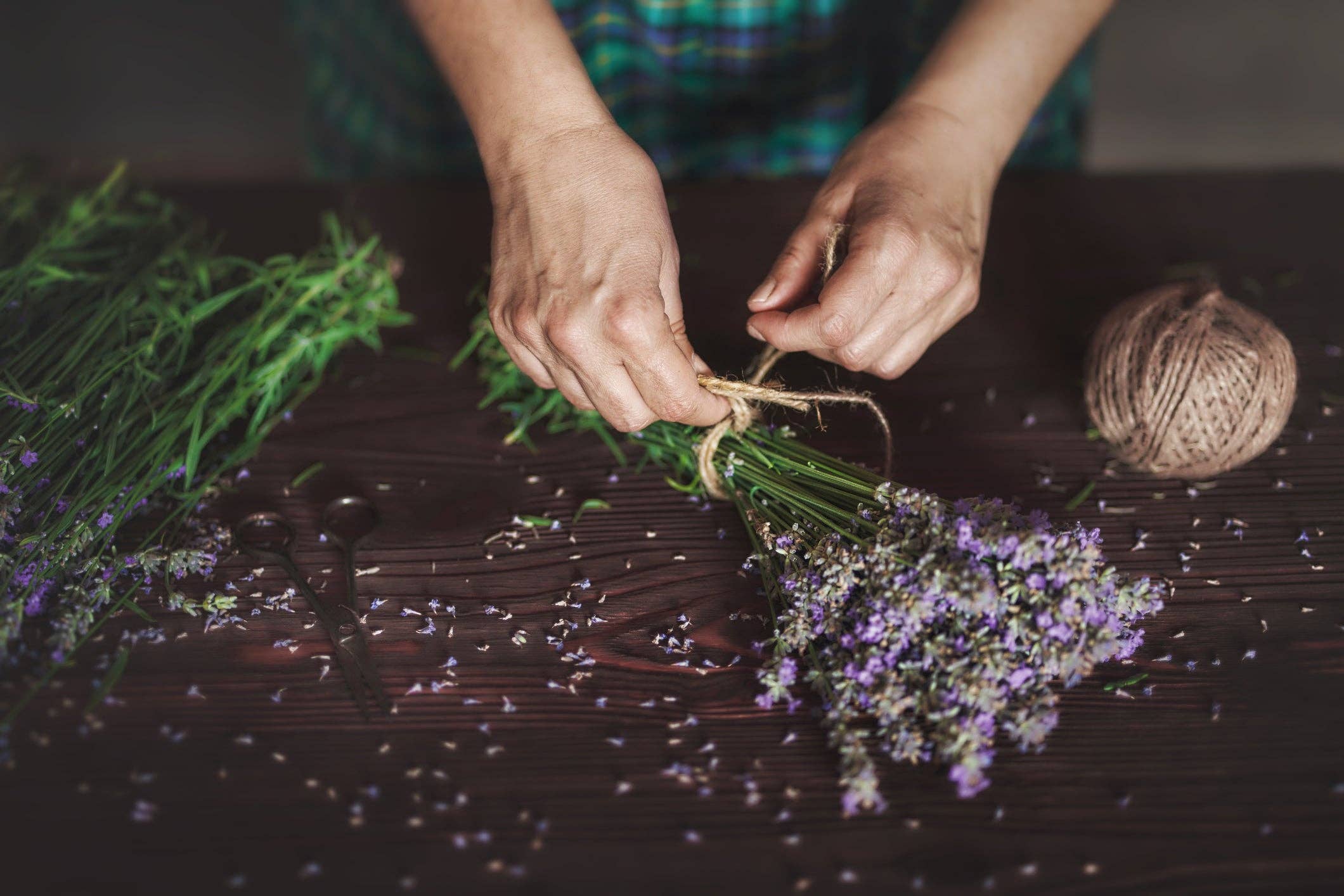 MEGAN & CO. Herbal Apothecary - Wholesale Etherische olie - Zoete Dromen, Essentiële Olie (Dram): Kalmerend + Sereniteit3