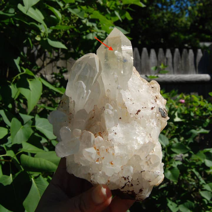 1.7lb 6in Inner Child Manifestation Clear Quartz Crystal Lightbrary Cluster Starbrary, Mali mcc2 for wholesale by Caspar Curiosities