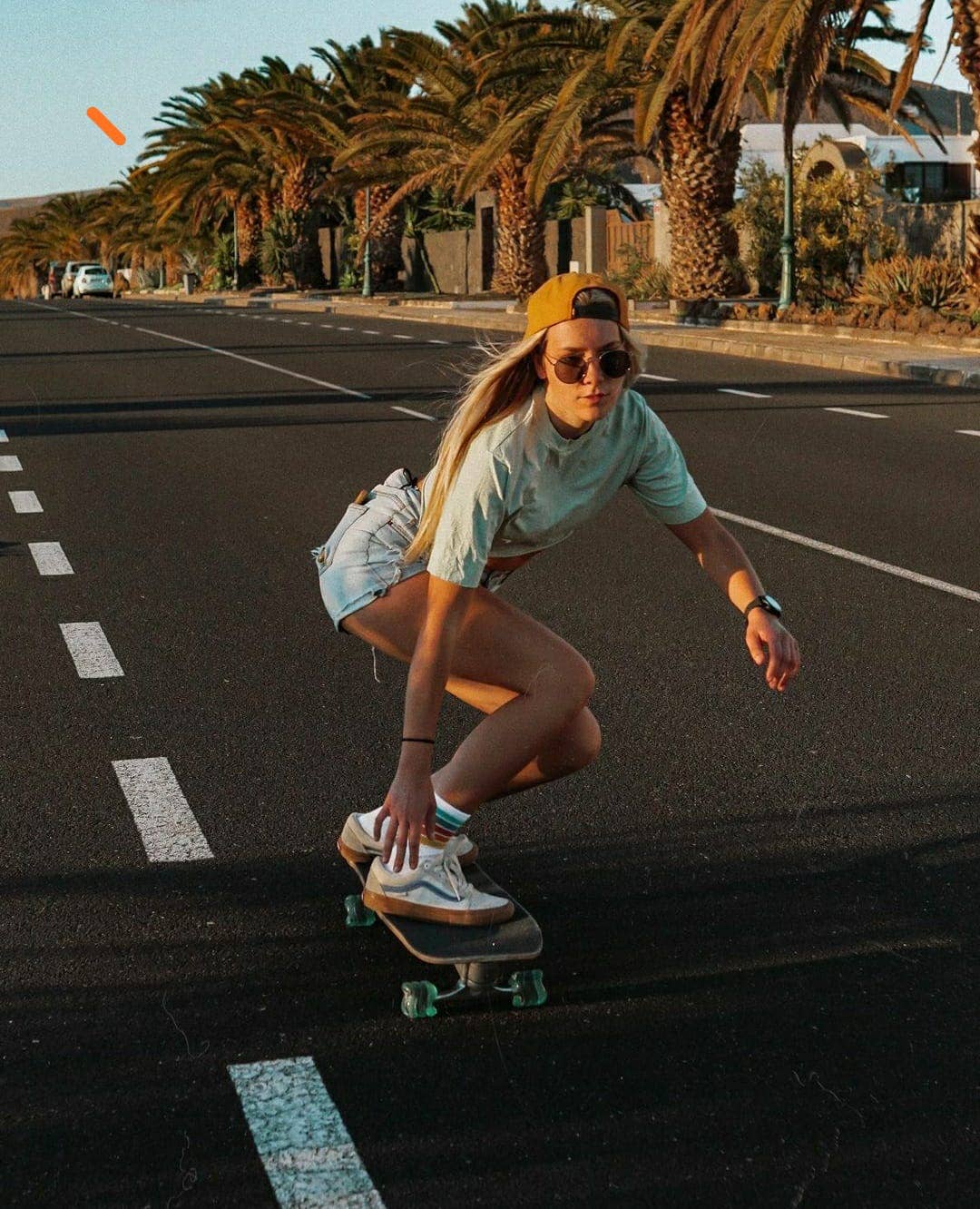 Shark Wheel - Wholesale Sporting Accessories - Shark Old School Cruiser Skateboards5