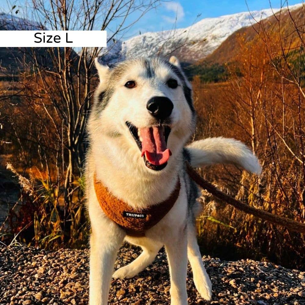 Trufois - Vendita all'ingrosso Pettorina - Cani - Imbracatura Teddy Lite - Cioccolato8