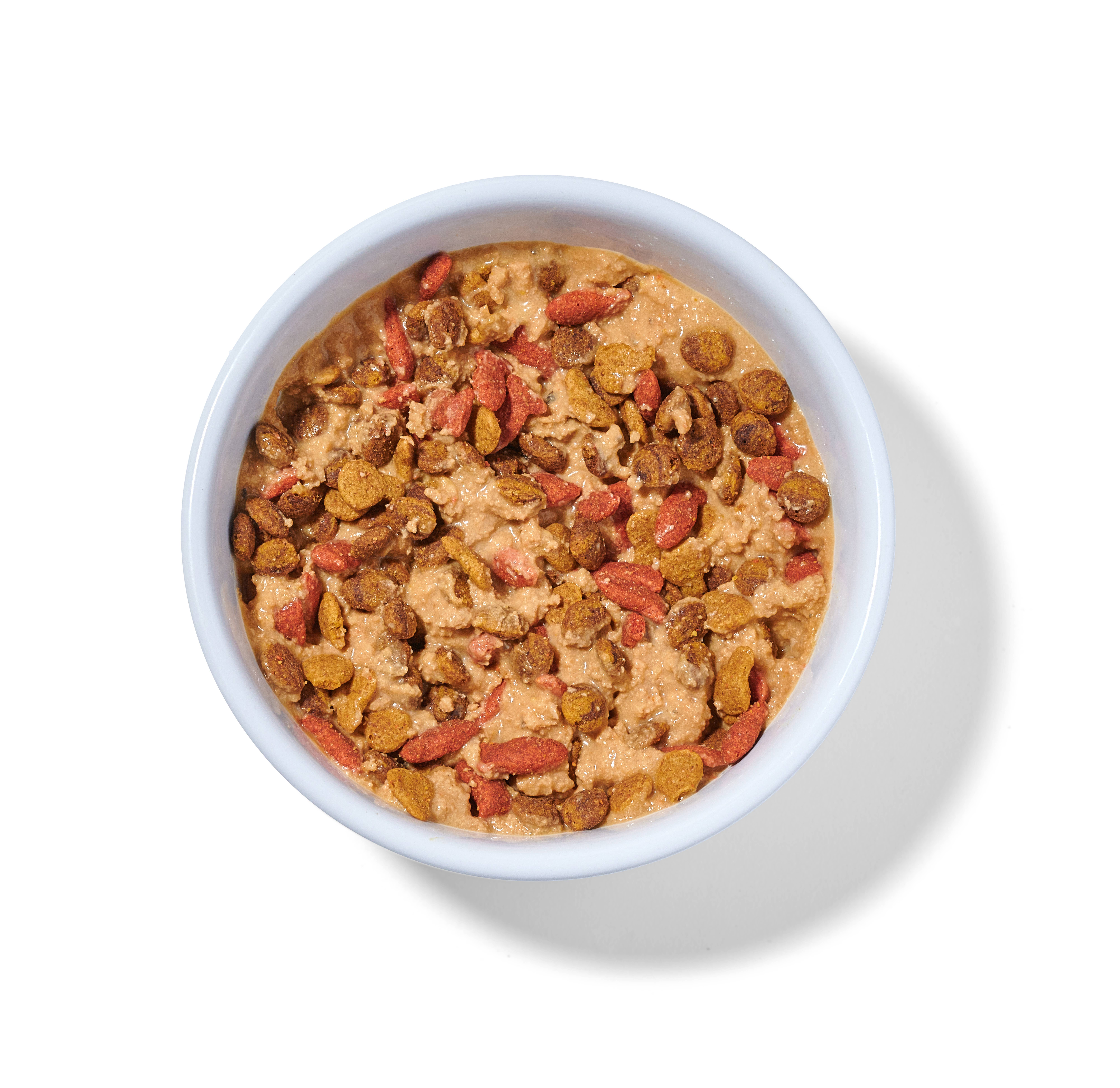 Portland Pet Food Company - Vente Nourriture – chat - Nourriture humide fraîche de qualité humaine au saumon et à la citrouille de Boots3