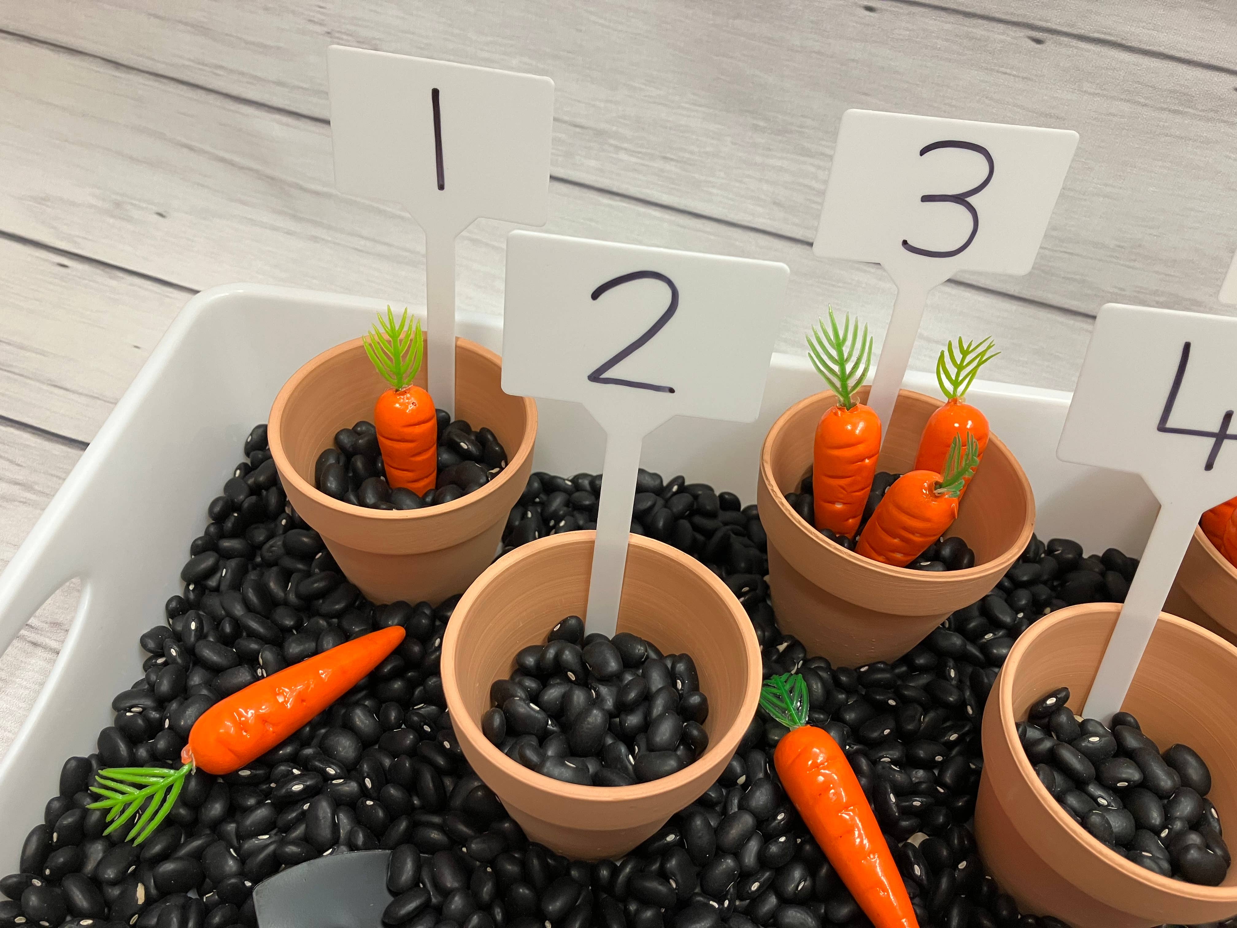 Curious Learning and Sensory – wholesale Leksaksset - Barn – Trädgårdssensorisk låda, Sensoriska lådor för barn, Trädgårdssensorisk1