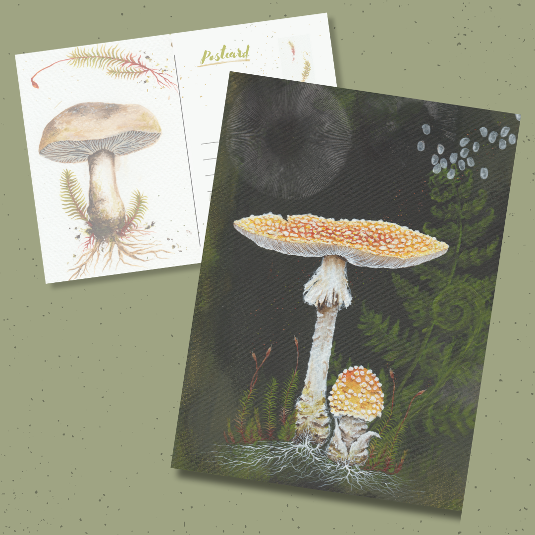Up Moss Creek Studio - Wholesale Postcard - Yellow Amanita Postcard 3