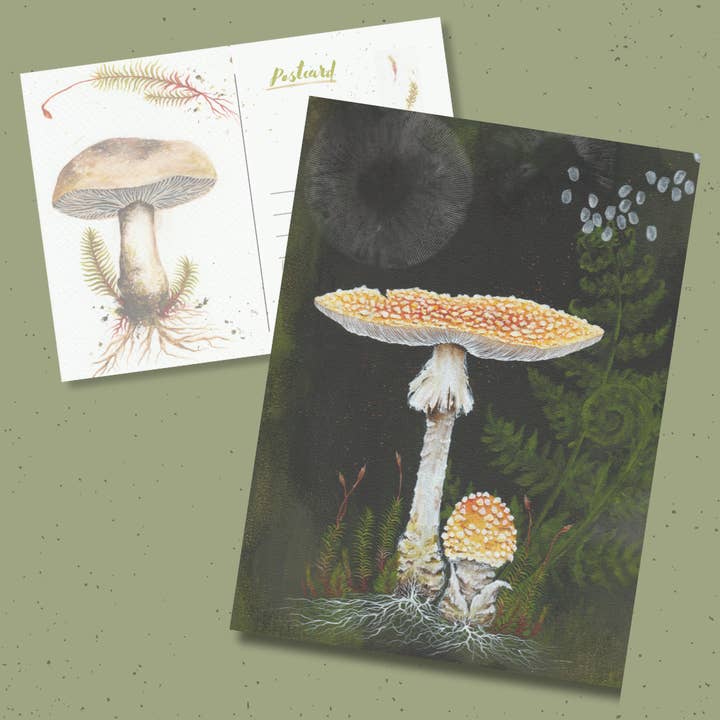 Up Moss Creek Studio - Wholesale Postcard - Yellow Amanita Postcard 3