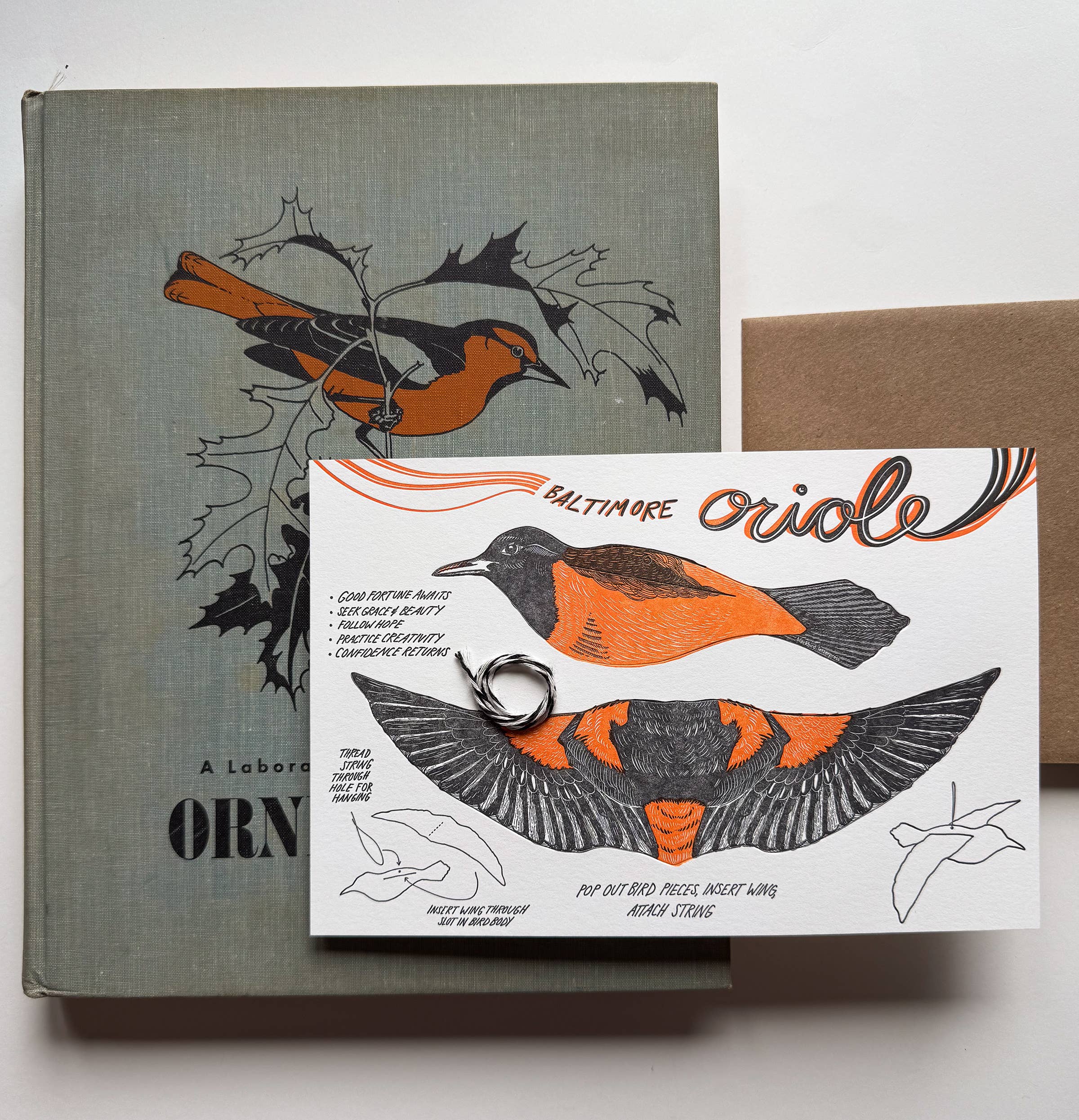 Blackbird Letterpress – wholesale Everyday greeting card – oriole pop-out bird card1