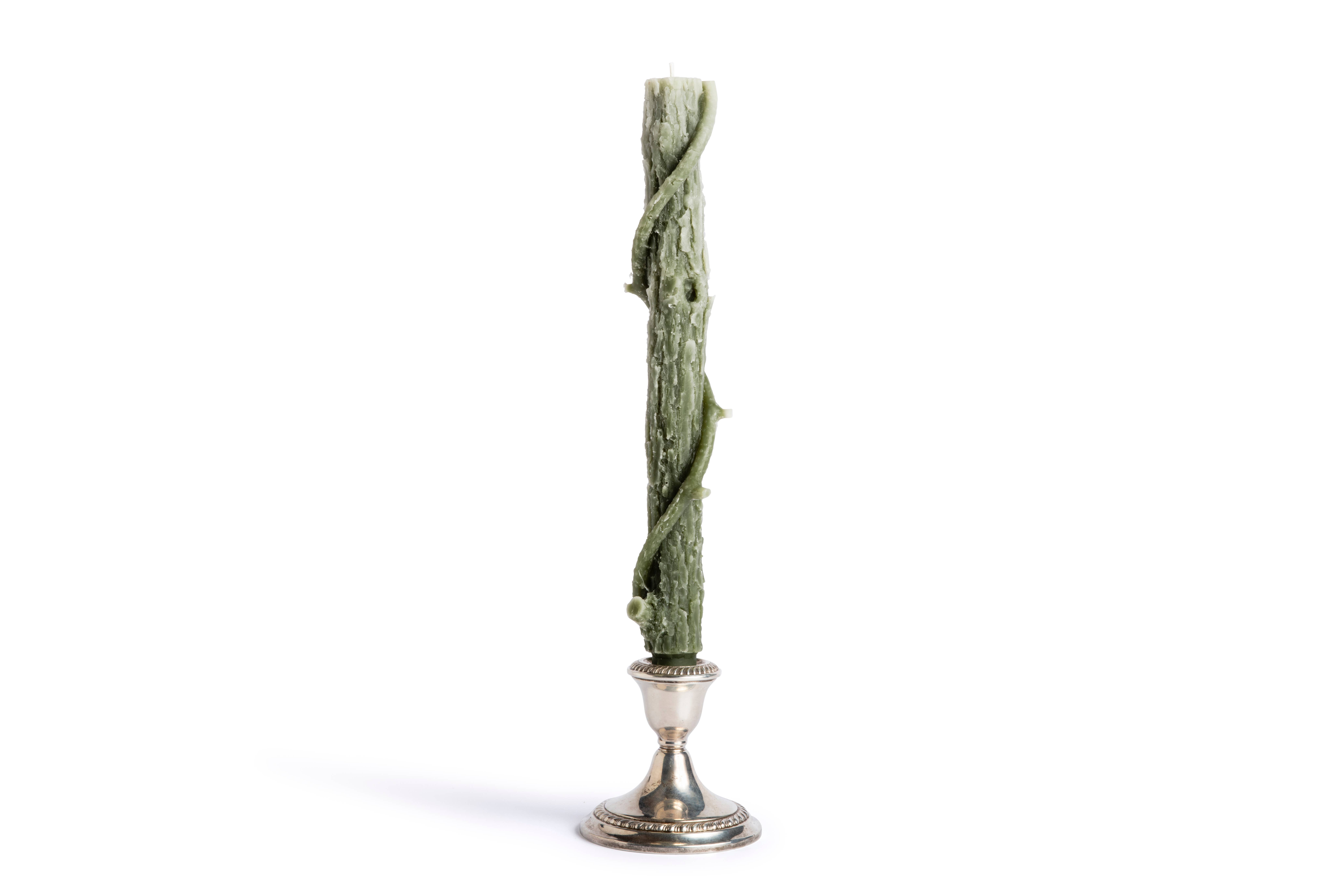 Stick Candles - Wholesale Tapered Candle/Candlestick - Bittersweet Oak Colossal Taper ~ "The Vine" / Single11
