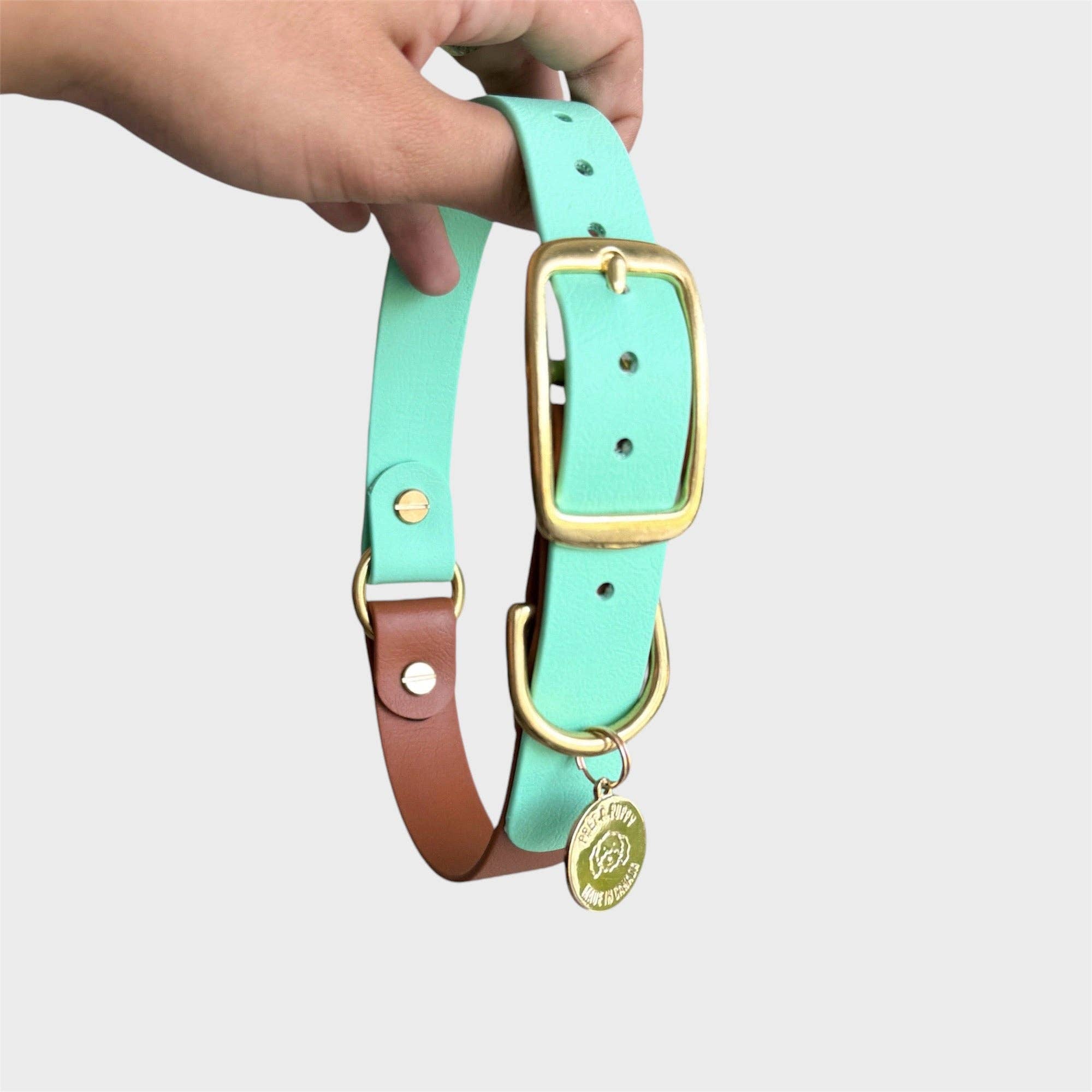 PRÊT-À-PUPPY - Vente Collier – chien - Collier original : créez le vôtre19