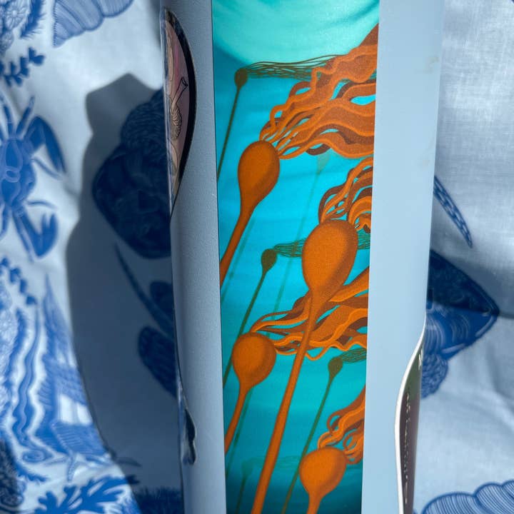 Coastal Haze Designs - Wholesale Sticker - Bull Kelp Sticker