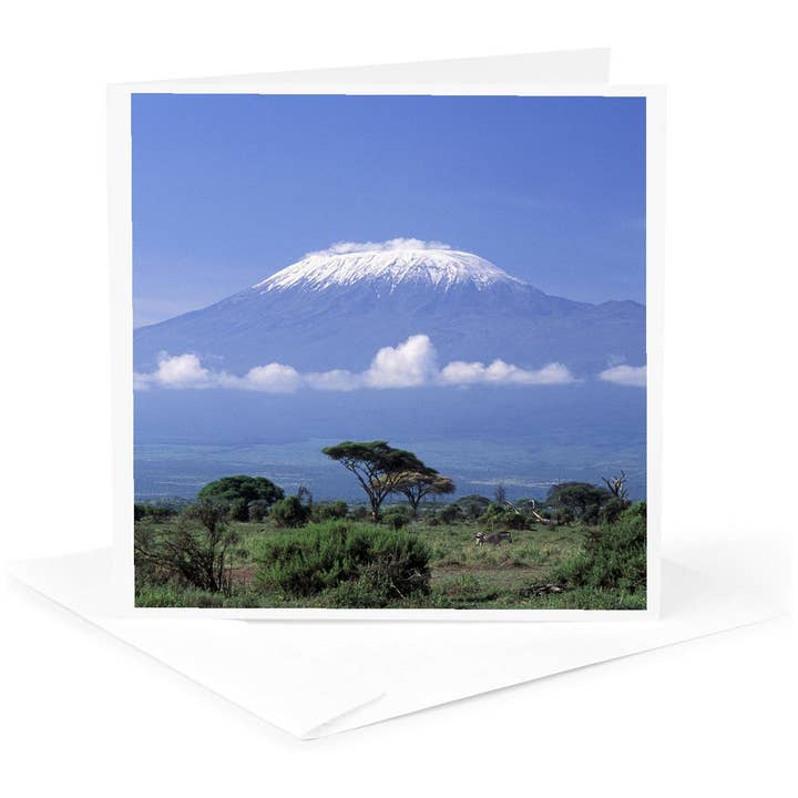 3dRose, Afrika, Tanzania, Mt Kilimanjaro, landskab og zebra-AF45 GJE0018 - Gavriel Jecan, Hilsen Kort for engroshandel hos 3dRose