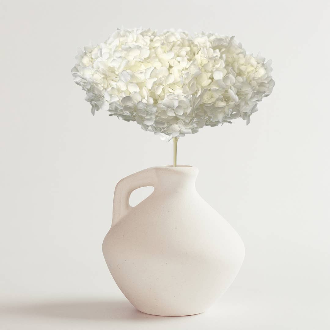 2626 Designs - Wholesale Dried/Pressed Flowers - Dried Preserved Hydrangea Flower 16" with Stem5