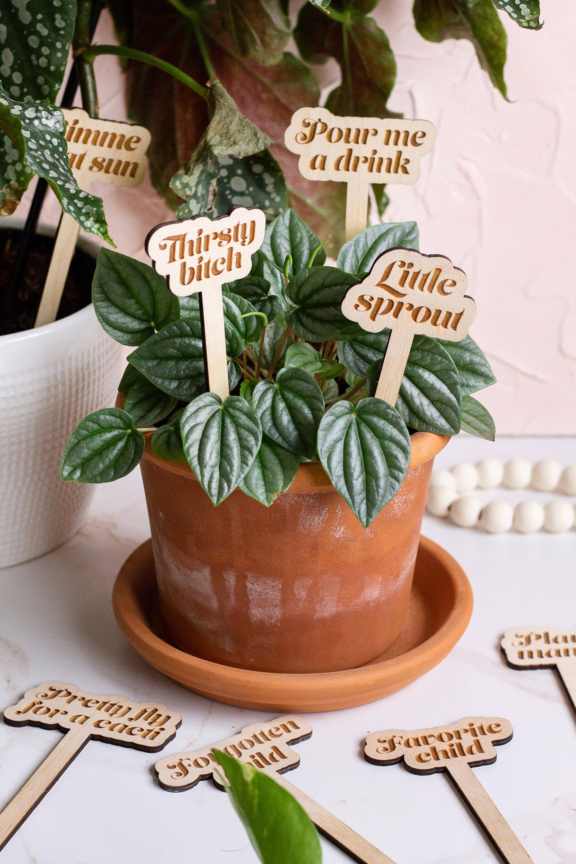 The Print Pantry - Wholesale Garden/Lawn Stake - Funny Wooden Plant Markers7