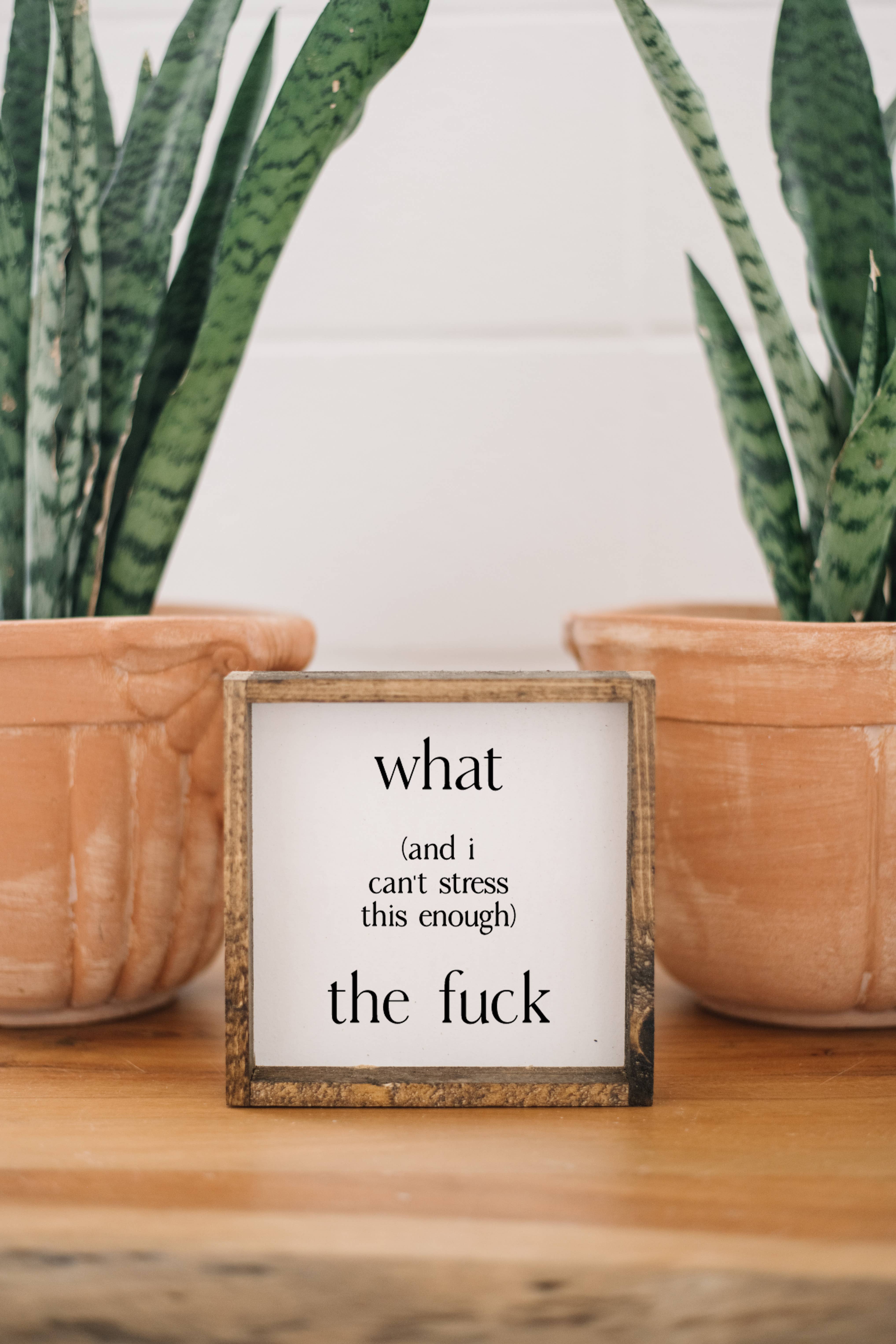Williamraedesigns - Wholesale Art Print - What (and I cannot stress this enough) The Fuck Framed Print2