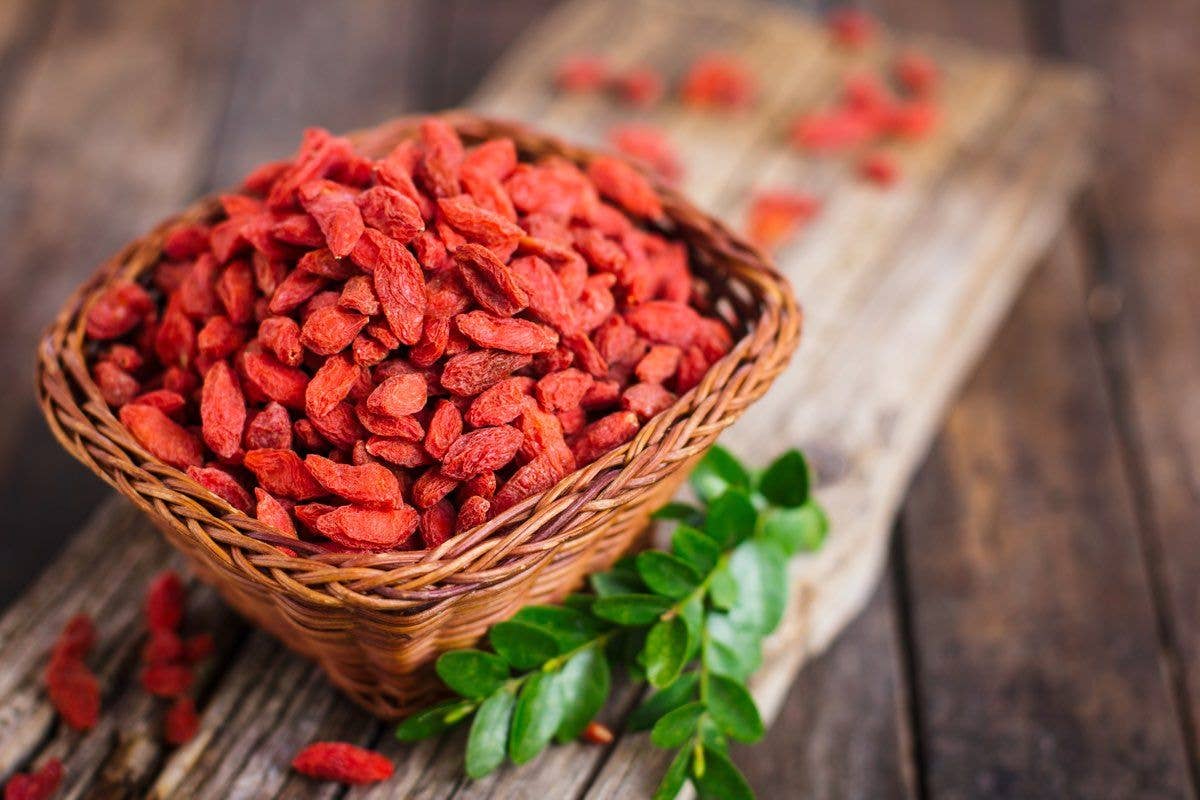 Cibobenessere – Fruta seca/desidratada por atacado – Bagas de Goji Bio - Superalimento Antioxidante3
