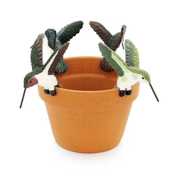 Suspension de Pot de Plante Colibri pour la vente par Golden State Succulents