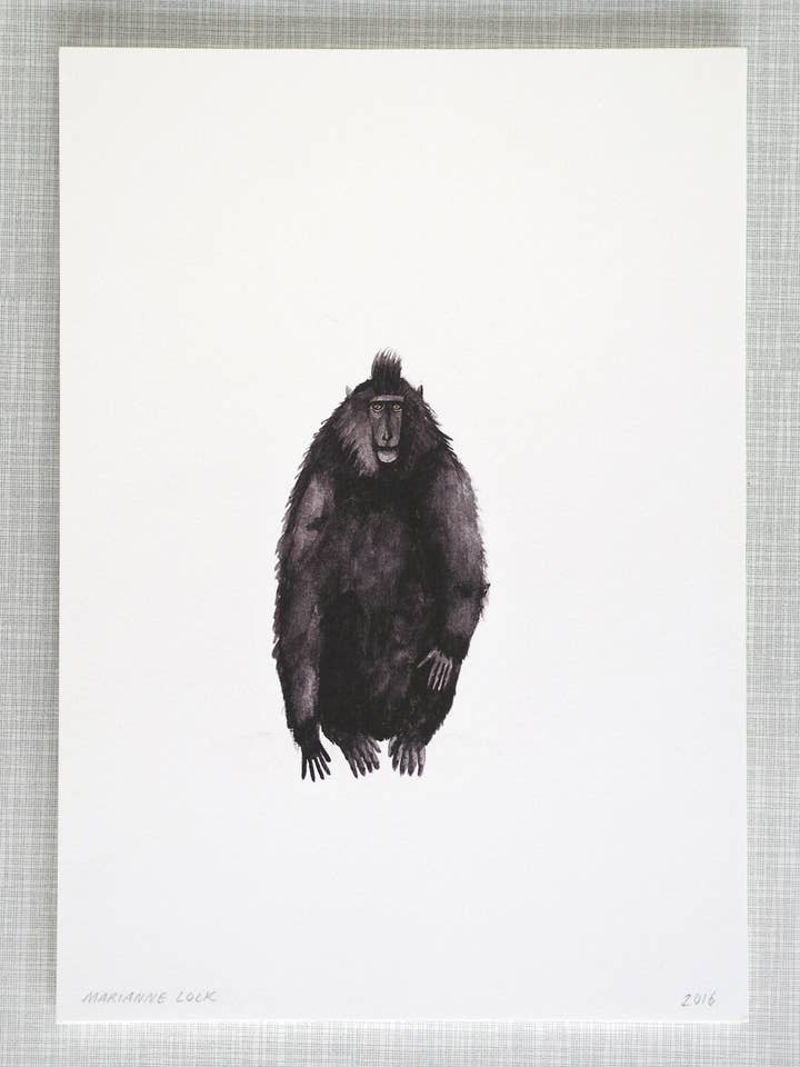 Macaque Animal Print A4 size for wholesale by Mary and the Locks
