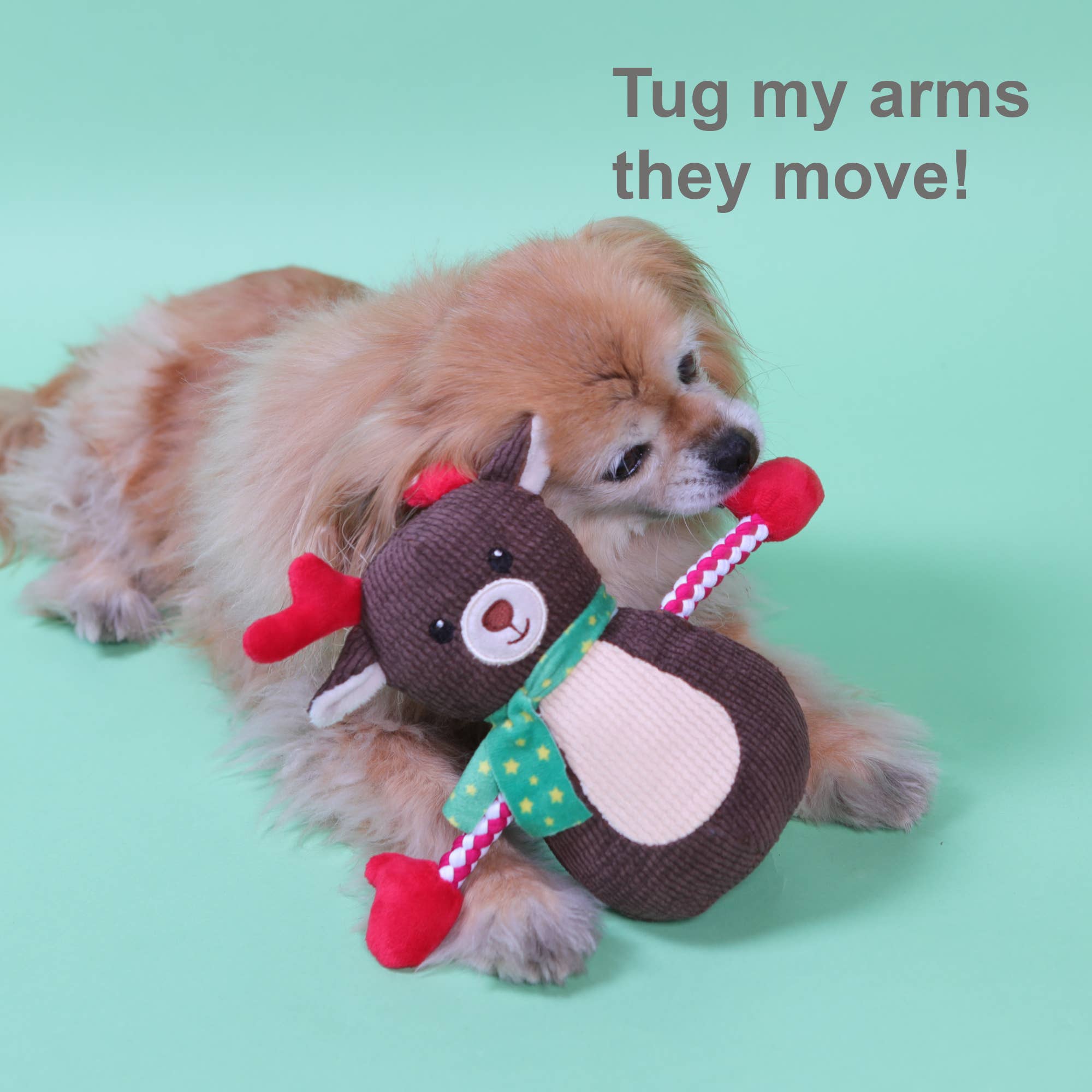 PetLondon - Wholesale Pet Plush Toy - Dog - Tuggy Reindeer Holiday Plush Dog Toy4