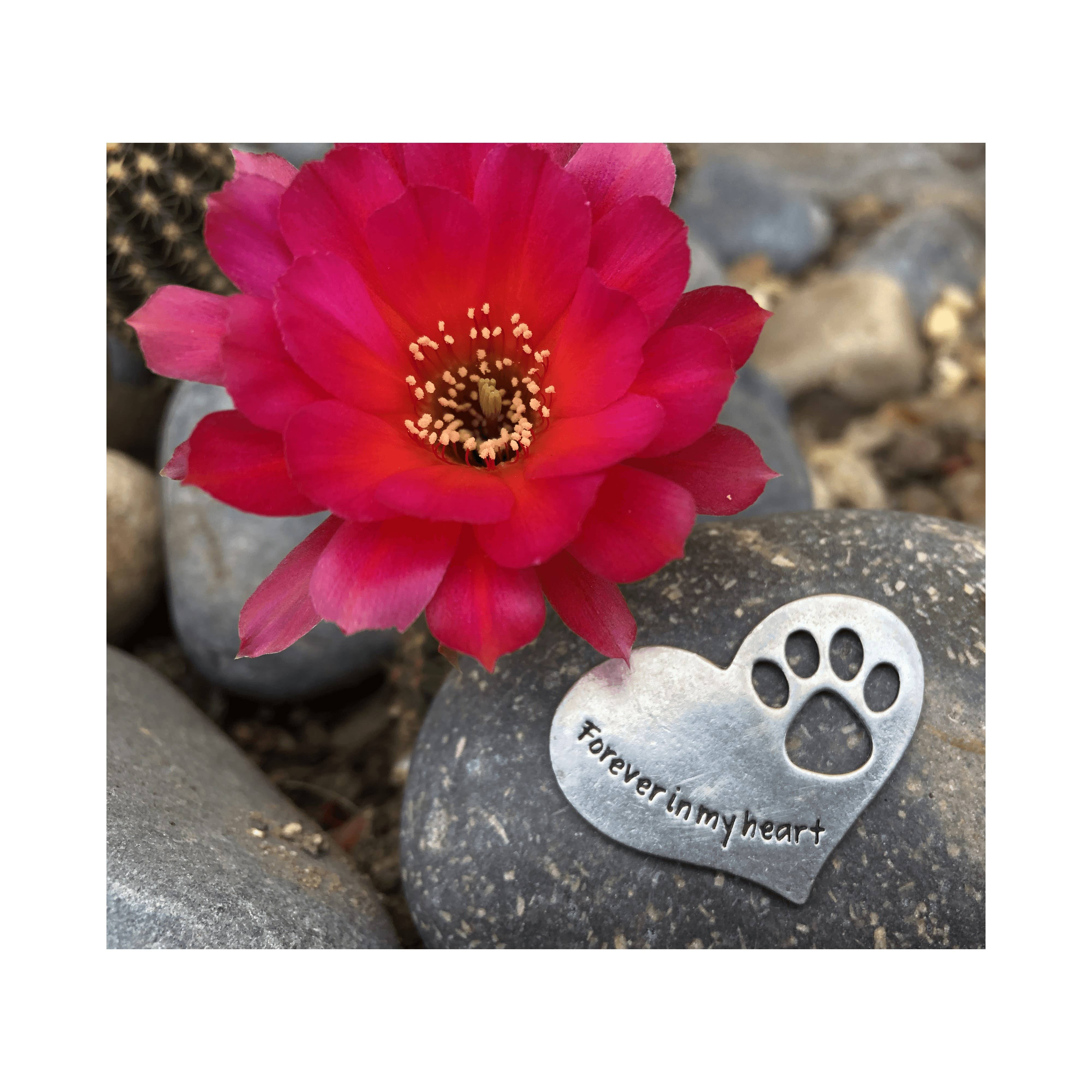 Whitney Howard Designs - Wholesale Pet Urn/Keepsake Box - In Loving Memory pet memorial stone with pewter heart gift!6