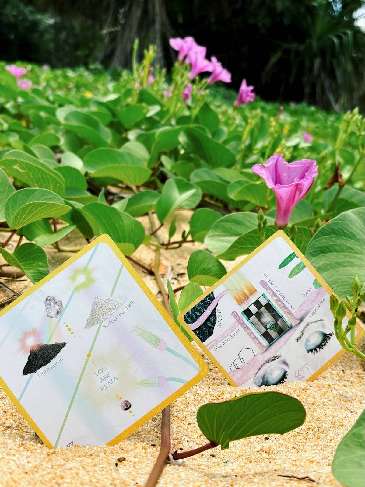 REMOVED BRAND - Wholesale Tarot Cards - Transcendence Map Oracle5