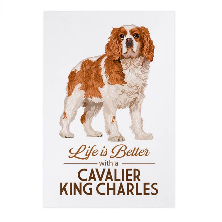 Lantern Press - Wholesale Postcard - PREMIUM POSTCARDS Cavalier King Charles, Life is Better