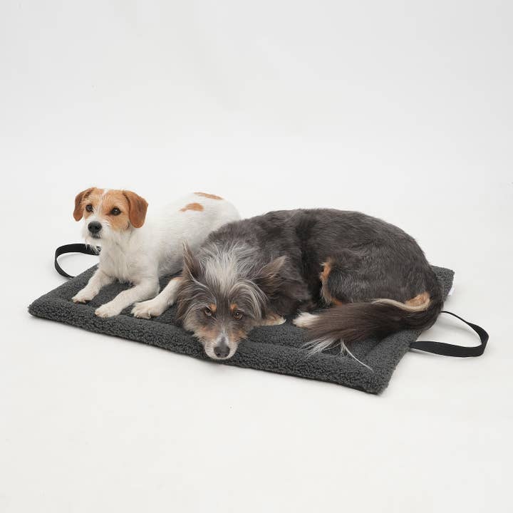 DOGS in the CITY® – Großhandel Haustiermatte – Hund – Reisematte Travel Mat Matti graphit