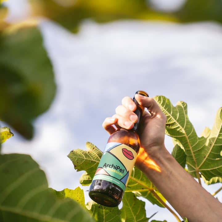 Archipel kombucha - Wholesale Kombucha - Kombucha fig leaves - 33cl1