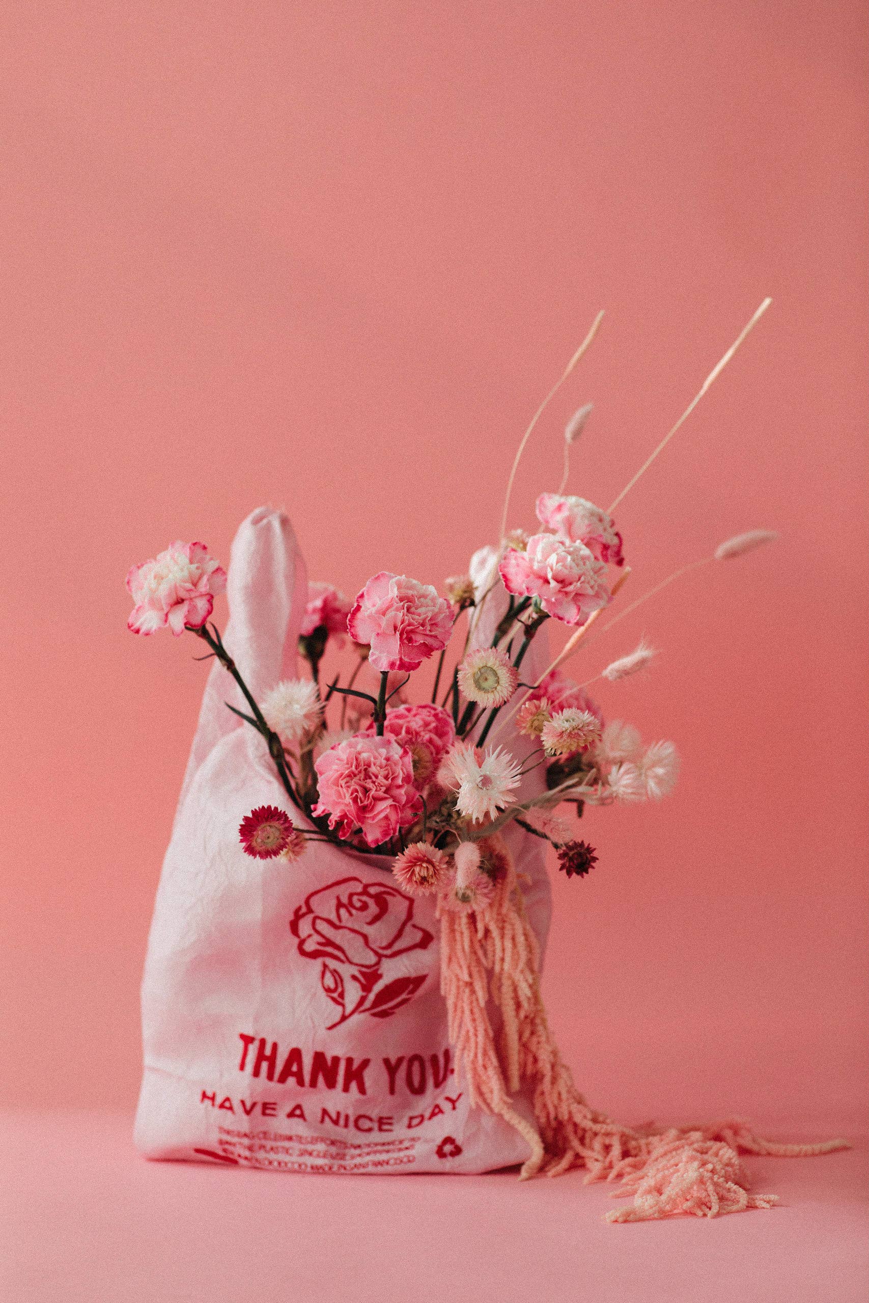 OPEN EDITIONS - Wholesale Grocery/Shopping Bag - Thank You Tote // Rose on Pink // Lauren DiCioccio15