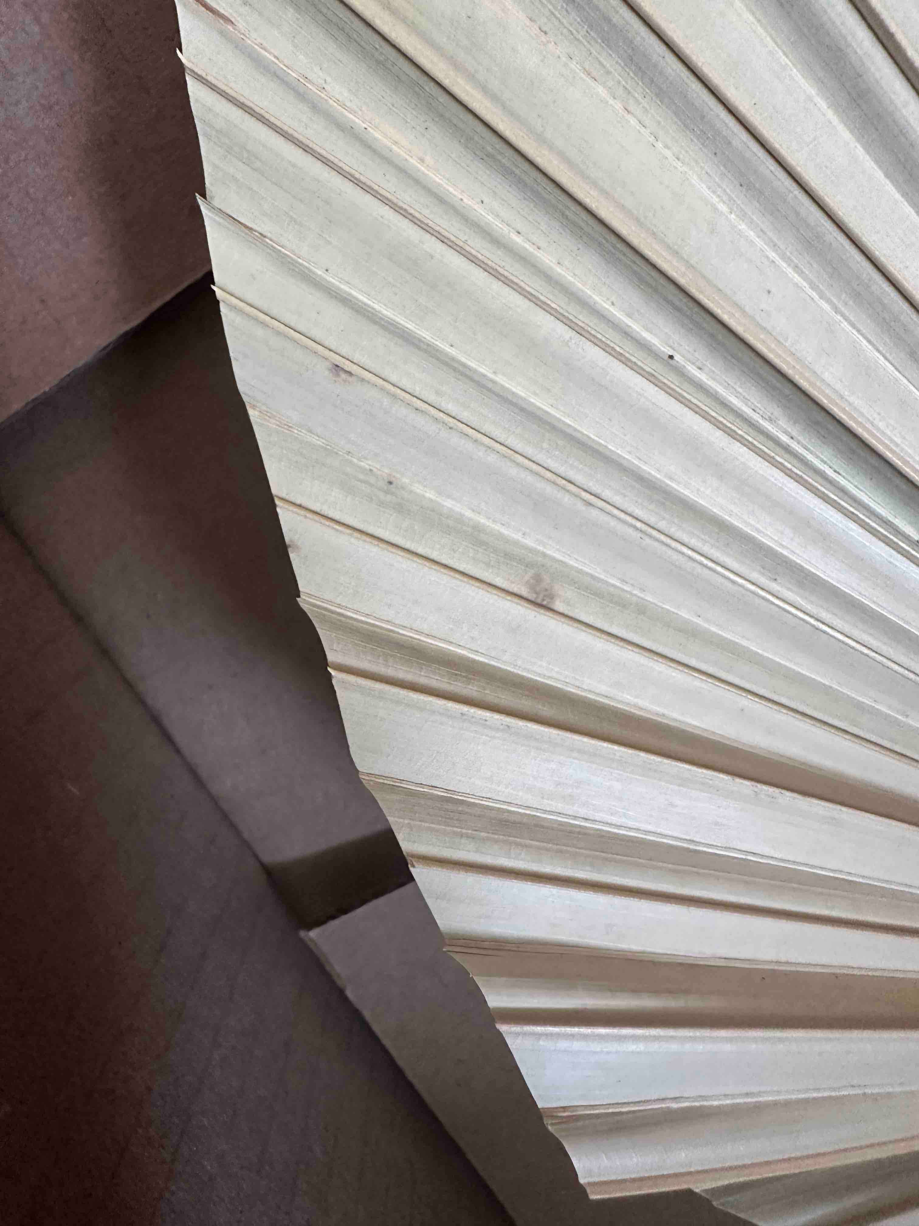 The Blooming Palm – wholesale Decal – Party decorations – Palm Leaves, Large Dried Trimmed Organic Tropical Dried Fan20