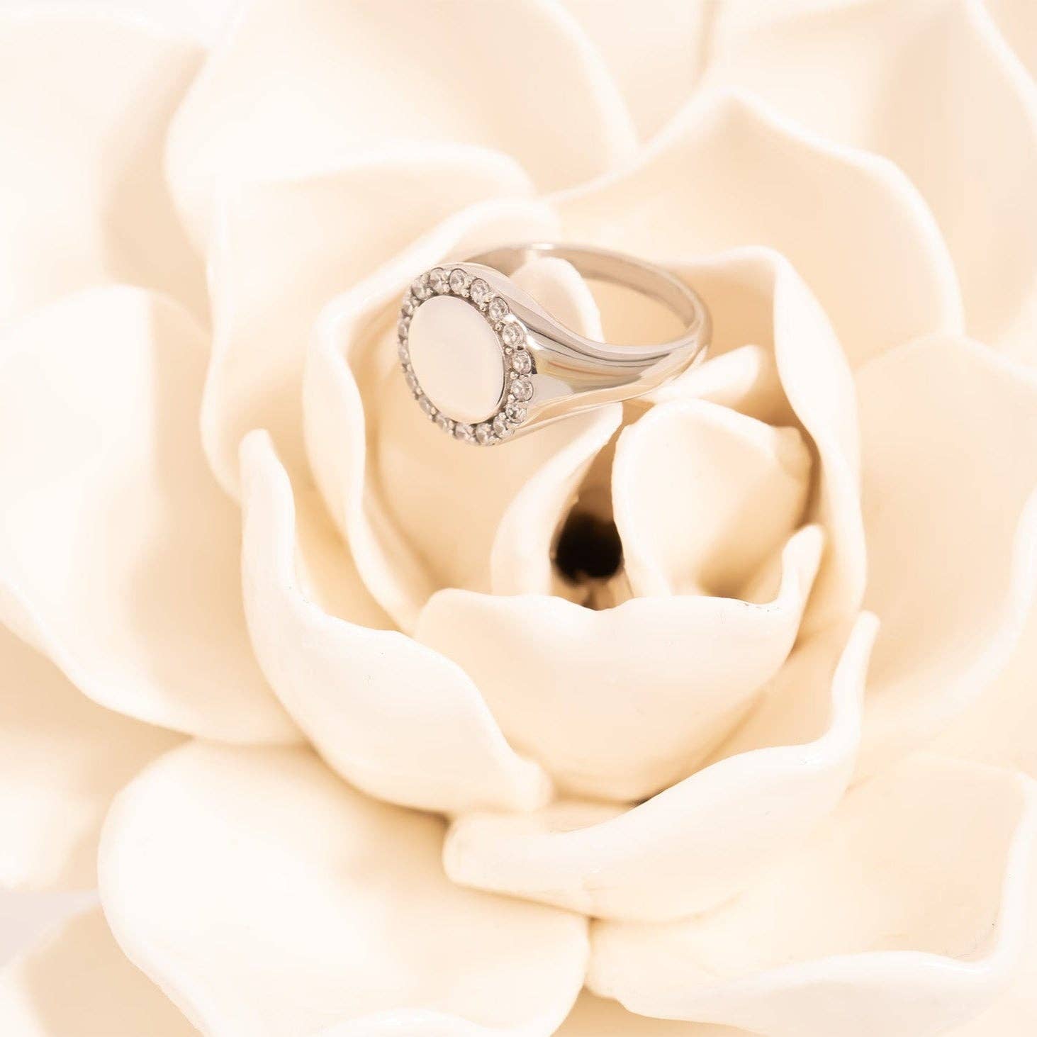 WJW - Vendita all'ingrosso Anelli con sigillo - Anello con Sigillo in Acciaio Inossidabile PVD Oro 18K con Pietre9