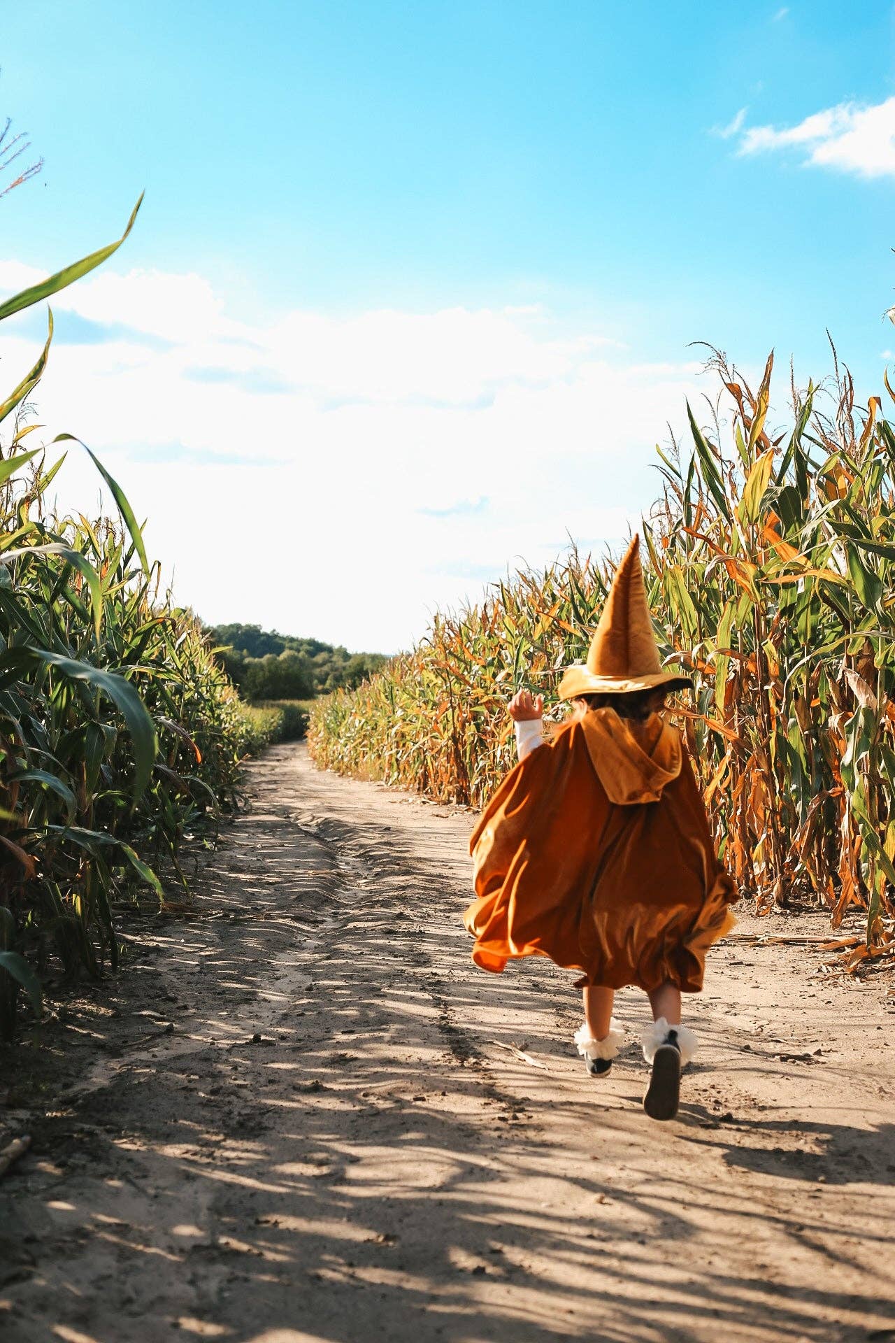 Moi Mili - Wholesale Costume - Kids - Witch Hat 'Gold Magic'1