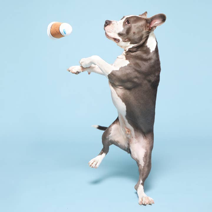 Pet Palette Distribution - Wholesale Pet Plush Toy - Dog - BARK Cup Of Bark Roast Plush Dog Toy1