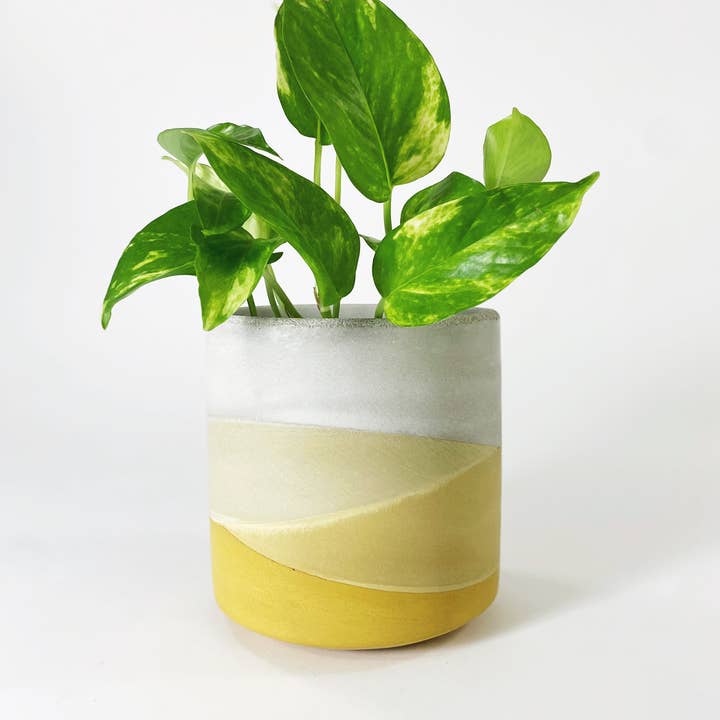 Settlewell - Wholesale Plant Pot - 6" Straight Sided Concrete Pot / 17 Colors13