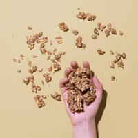 Purely Sprouted - Wholesale Granola - Original Vanilla Cinnamon Organic 8 oz bag4