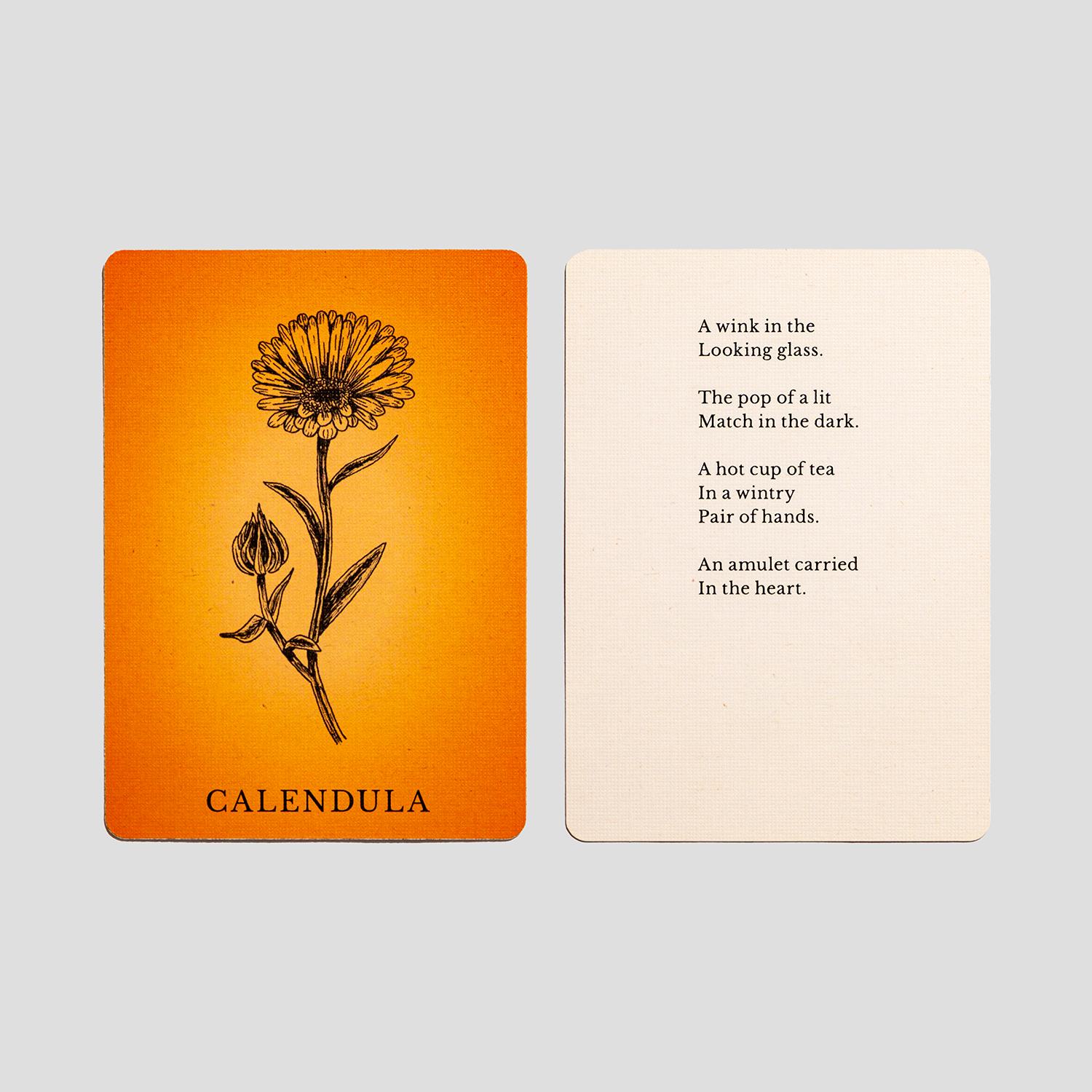 Velvetback - Wholesale Tarot Cards - 2.5" x 3.5" 60-Card Botanical Poetry Oracle Deck2