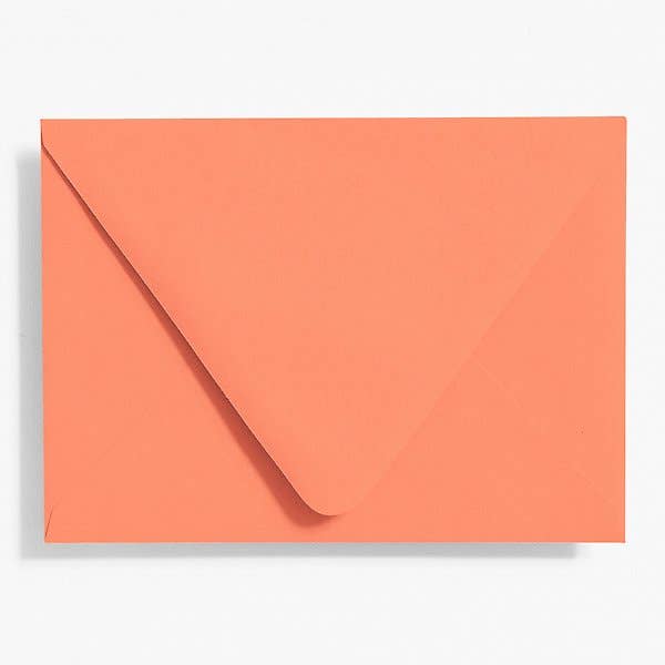 Paper Source Wholesale - Vendita all'ingrosso Buste - Busta in formato A6 (confezione da 200)39