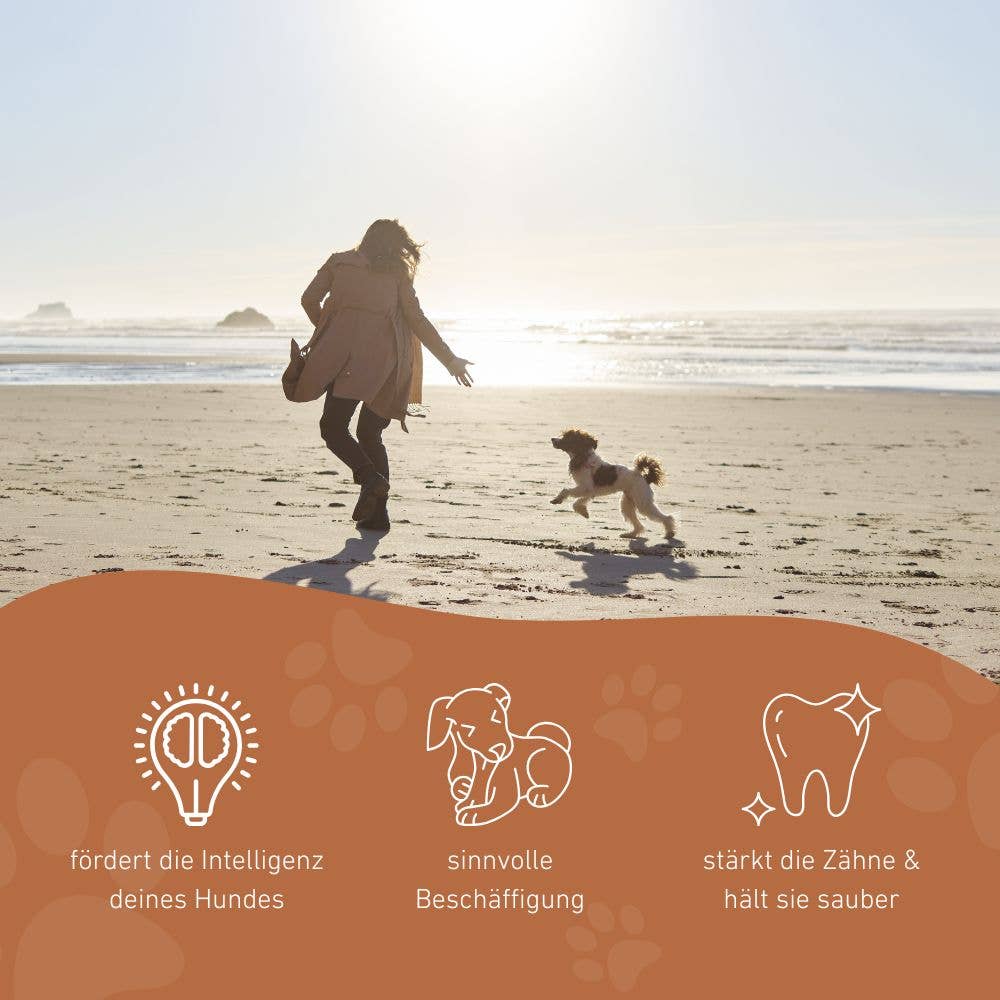 WILDFANG - Wholesale Pet Chew Toy - Dog - Snack Ball "Simba"5