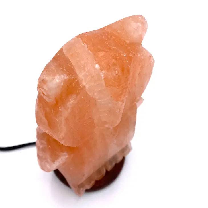 Page Imports - Wholesale Salt Lamp - Salt Crystal Lamp - Owl4