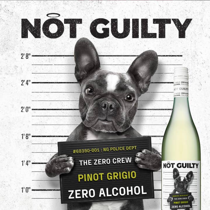 Not Guilty - Wholesale Non-Alcoholic Wine - Not Guilty Pinot Grigio4