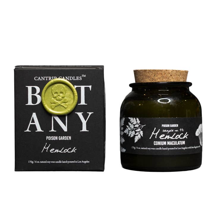 Botany ~ Hemlock 6oz Candle for wholesale by Cantrip Candles