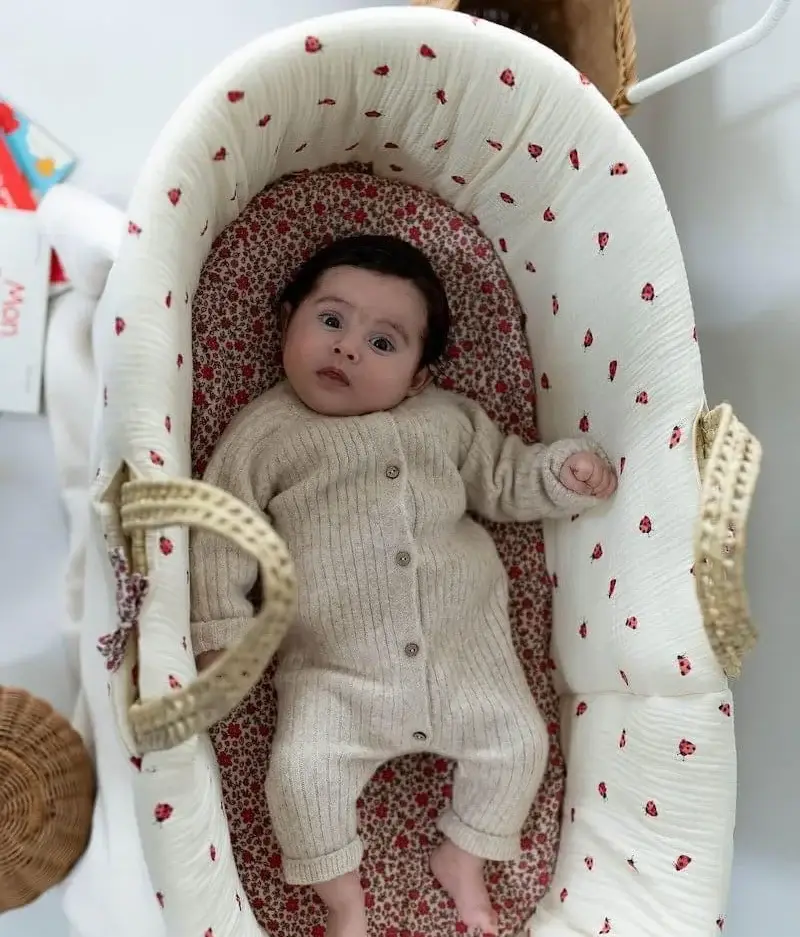 Manufacture des bébés français - Wholesale Bassinet - Baby - Bassinet cover Ladybugs1