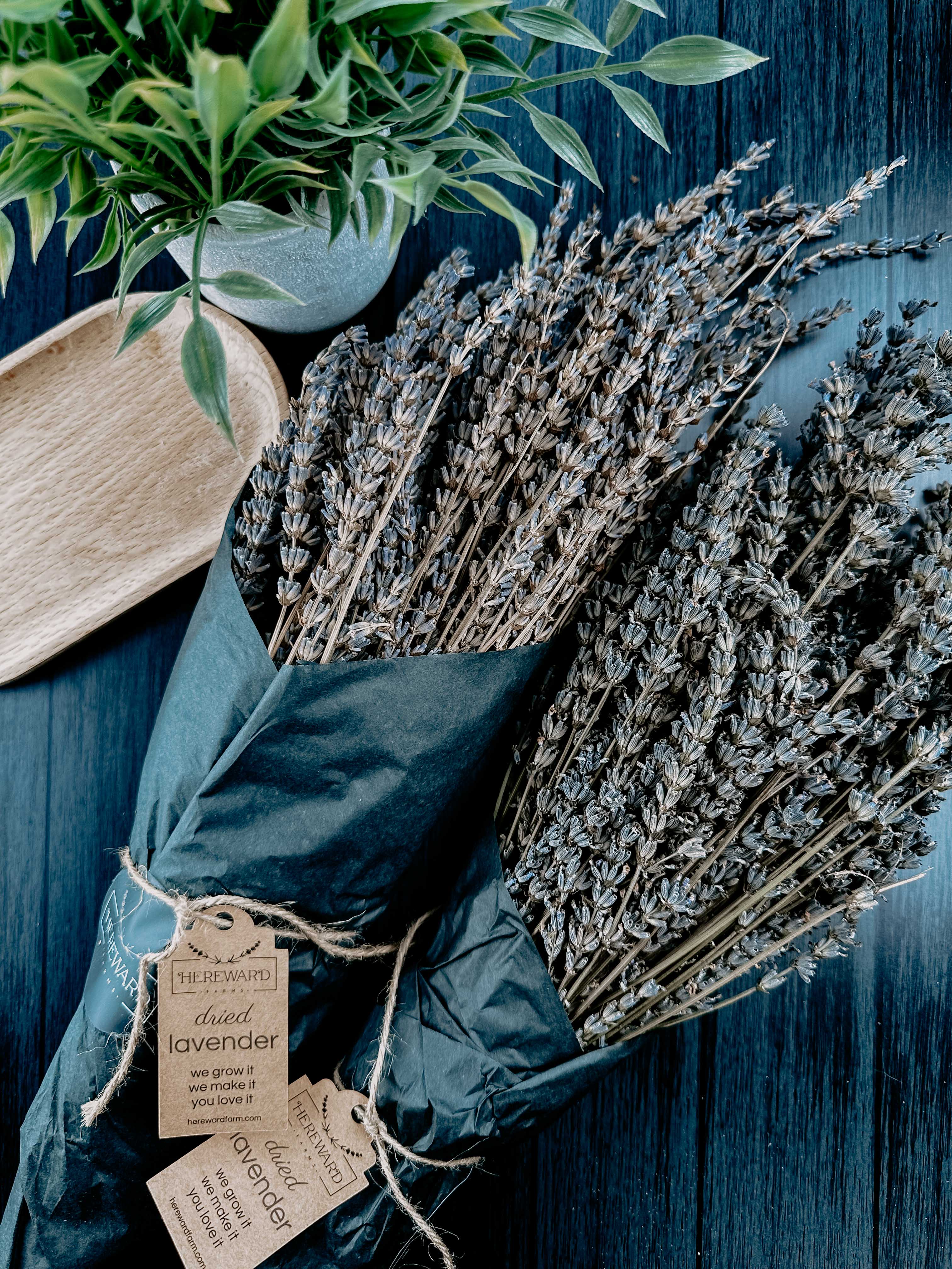 Hereward Farms - Wholesale Dried/Pressed Flowers - Lavender | Dried French Lavender Bunch2