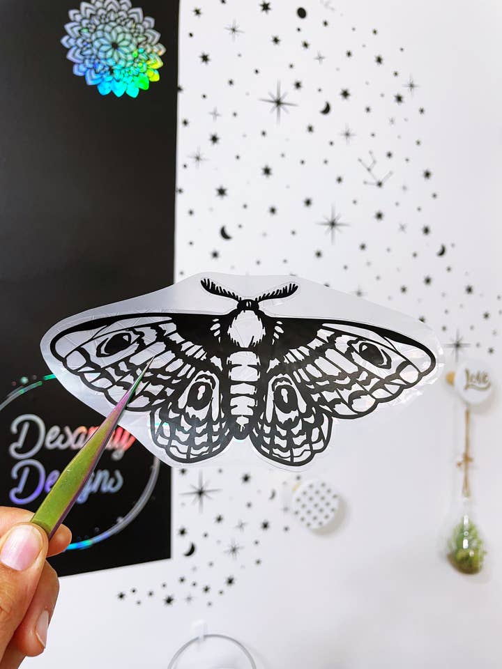 Moth Suncatcher Sticker – Rainbow Window Film, Bird Safety for wholesale by Desaray Designs
