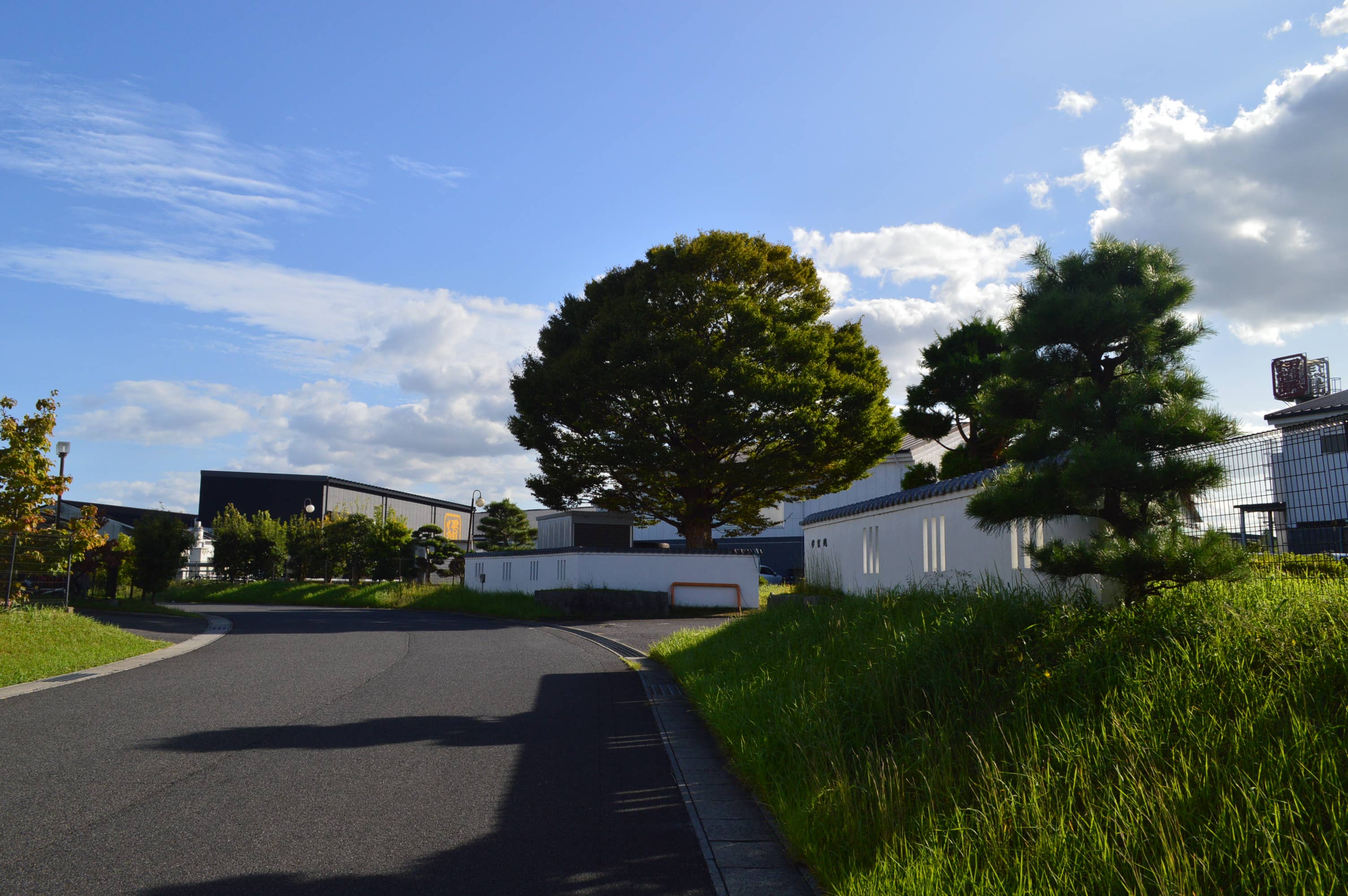 LEONIS SHIRTS & FAVORITES - Wholesale Sauce - Gluten Free Soy Sauce 150ml (5.07oz)1