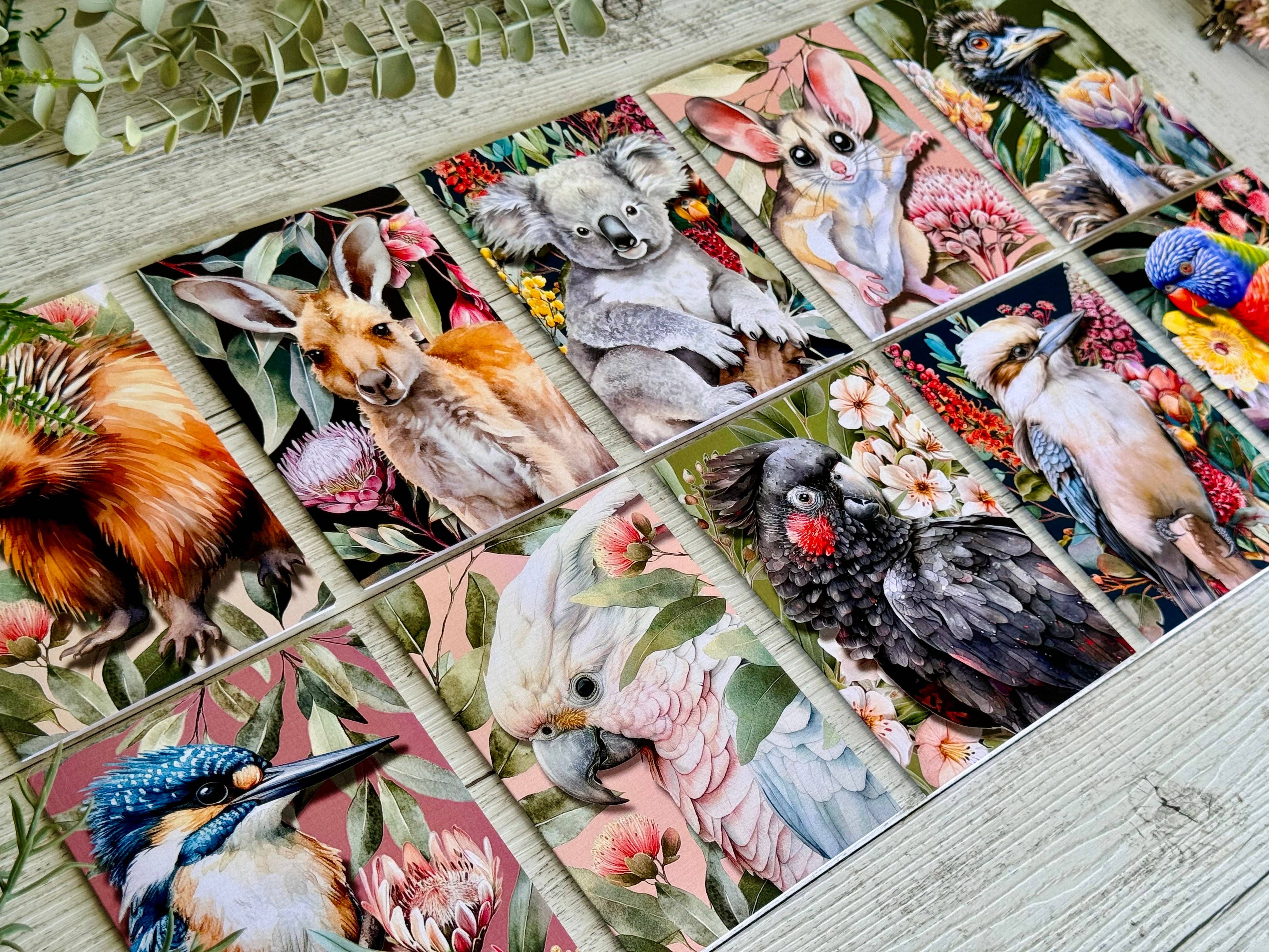 Scattered Seed Co - Vente Carte de vœux classique - Carte de vœux Kangourou australien sur fleurs indigènes3