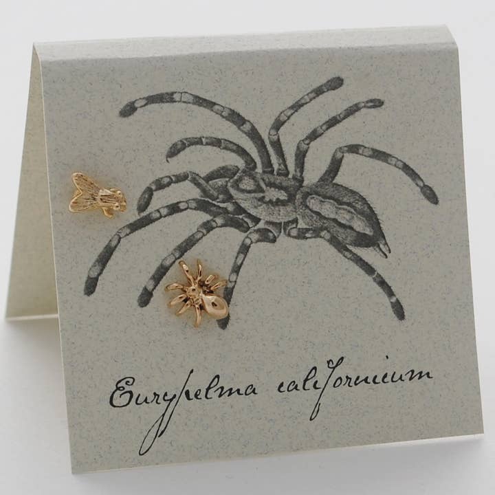 Semaki & Bird - Vente Clous d'oreille - Clous Fly & Spider - doré Natural History0