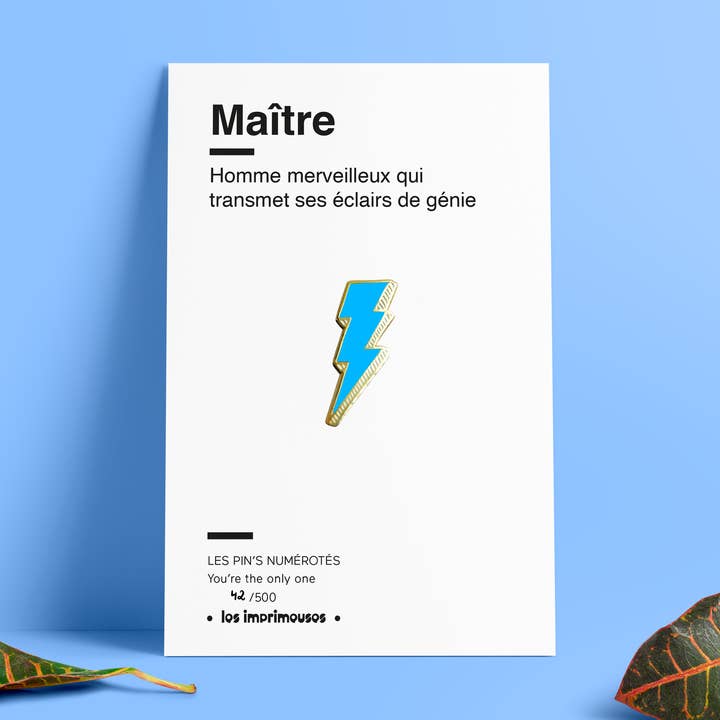 LES IMPRIMEUSES - Vendita all'ingrosso Spille - Spille - Lampo - Maestro/Maestra - Fine dell'anno scolastico13