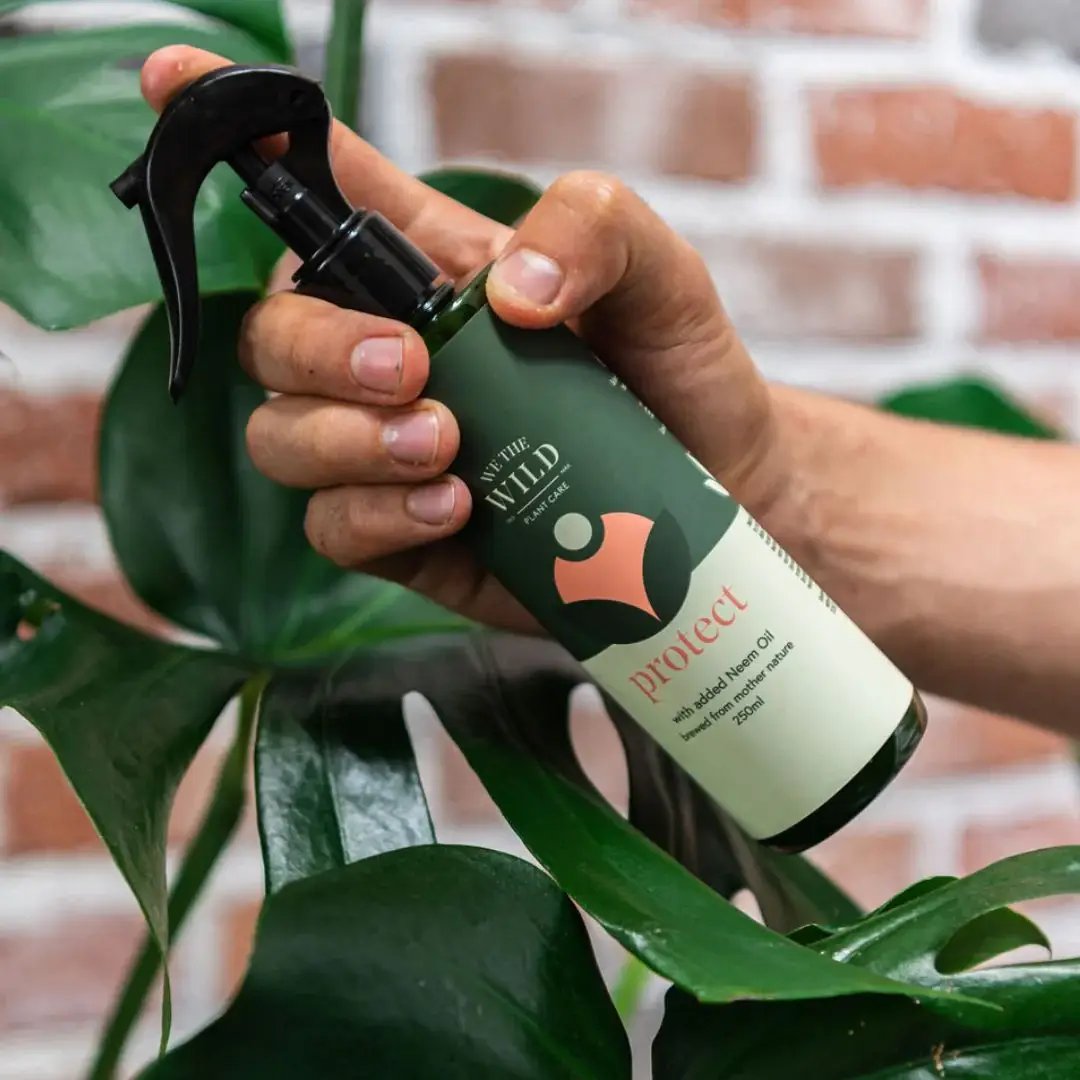 We the Wild Plant Care - Australia - Vente Engrais - Spray protecteur au neem, boîte de 122