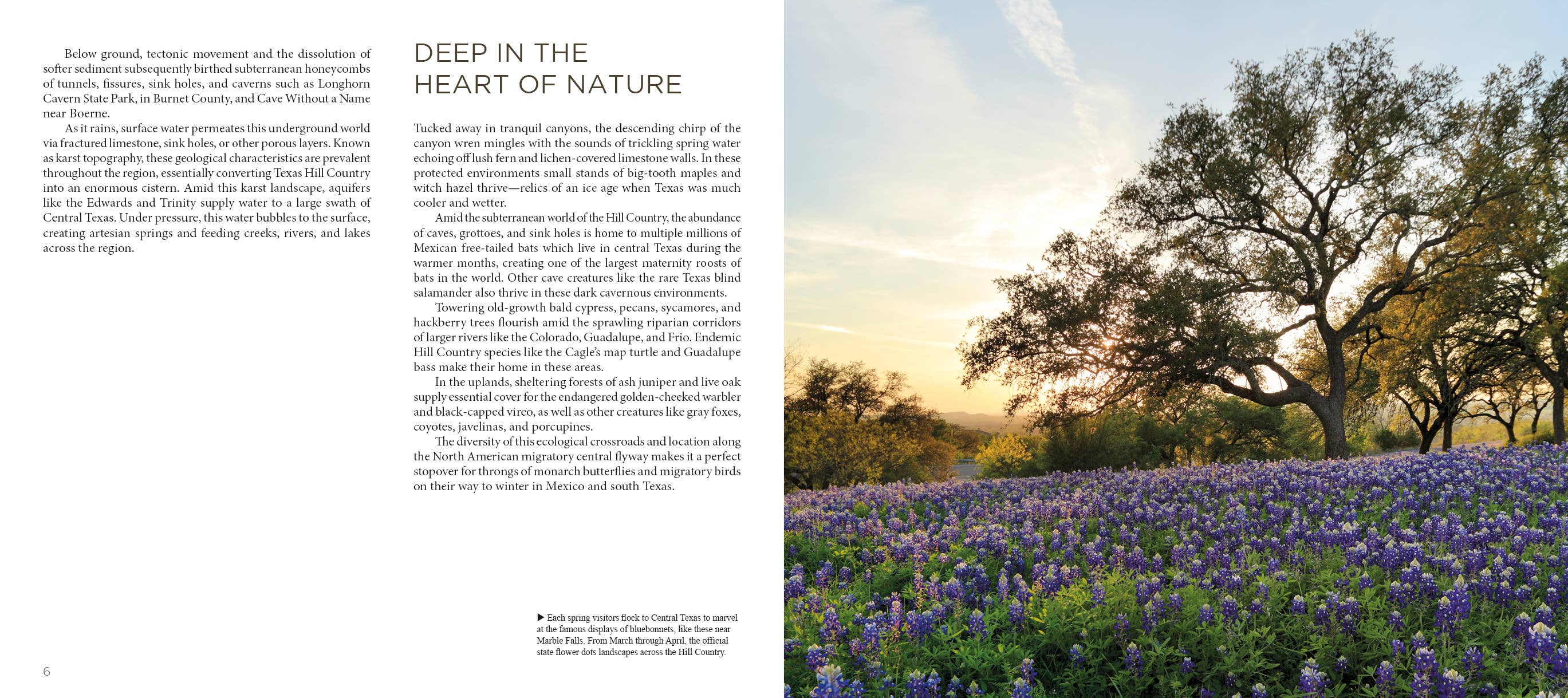 Schiffer Publishing - Wholesale Nature & Outdoors - Texas Hill Country: A Scenic Journey3