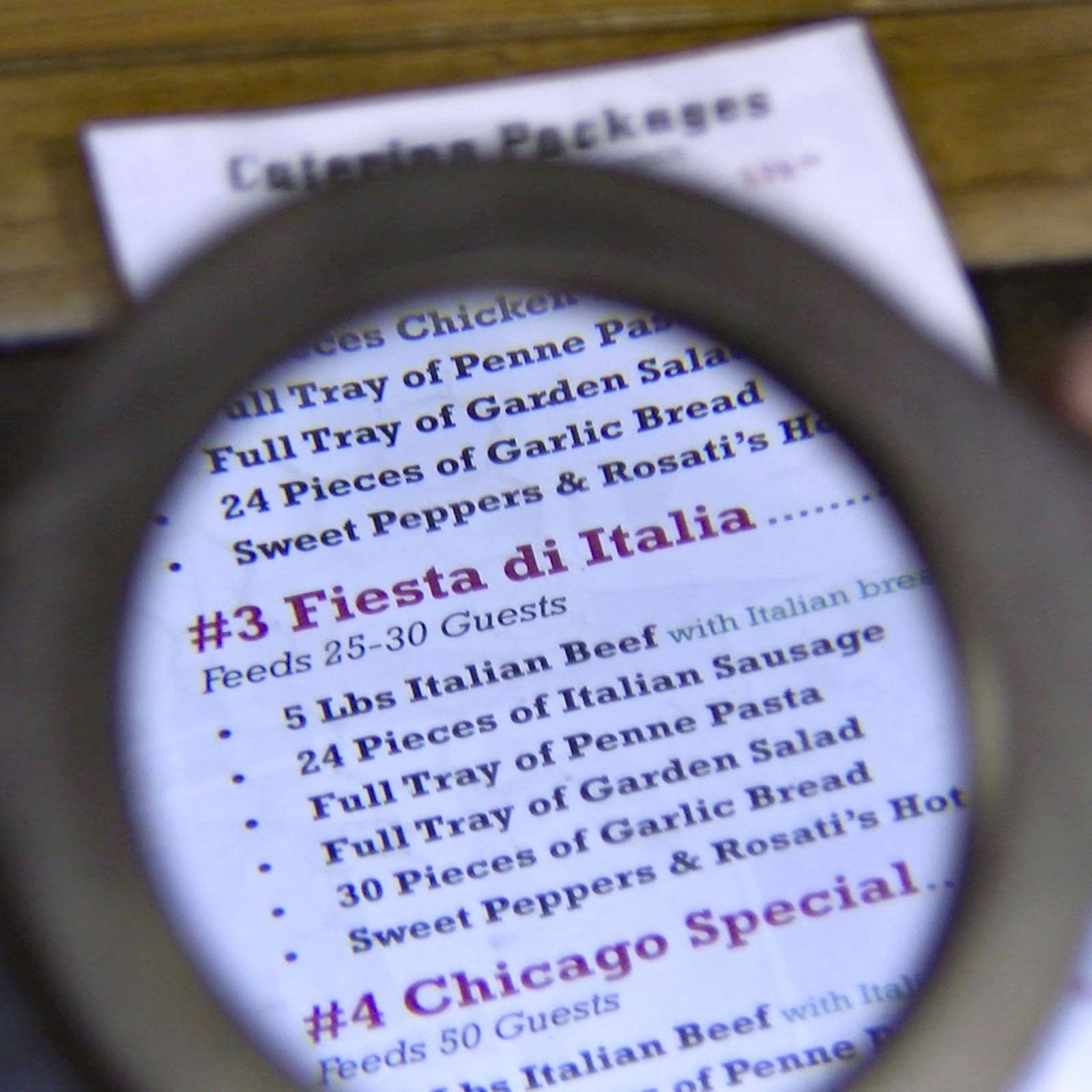 LitezAll - Wholesale Magnifying Glass - LitezAll COB LED Lighted Hand Held Magnifying Glass8