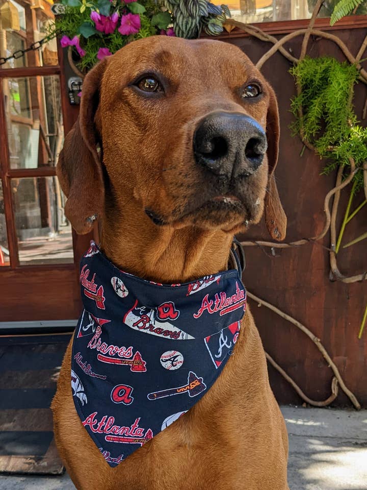 Atlanta Braves Bandana - Baseball Collection for wholesale by Koa's Ruff Life