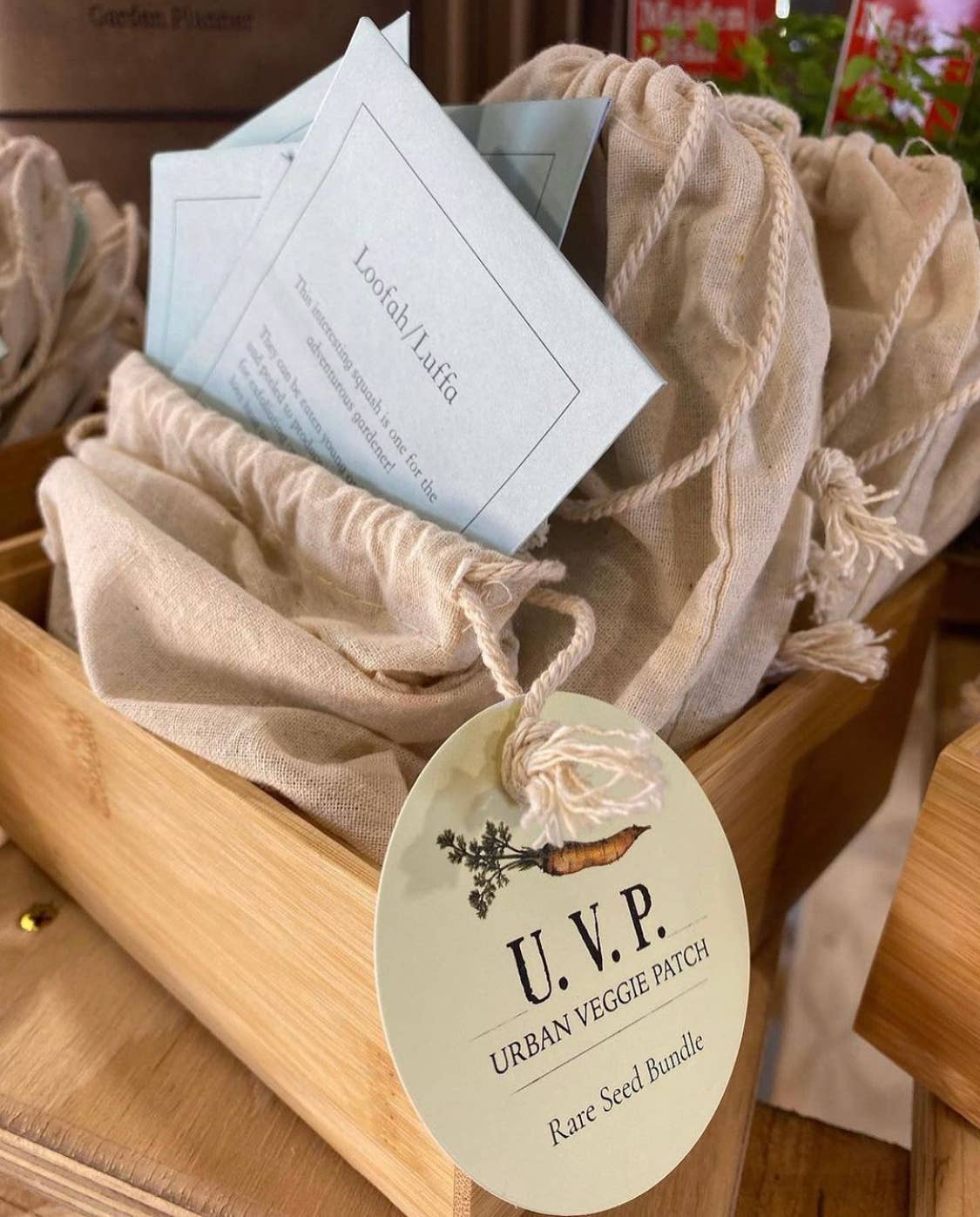 Urban Veggie Patch - Wholesale Plant seeds - Rare Seed Bundle2